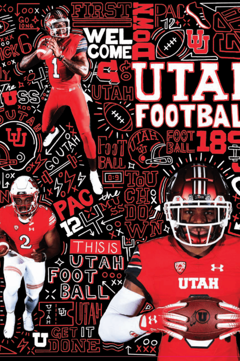 Football Ticket Sleeves