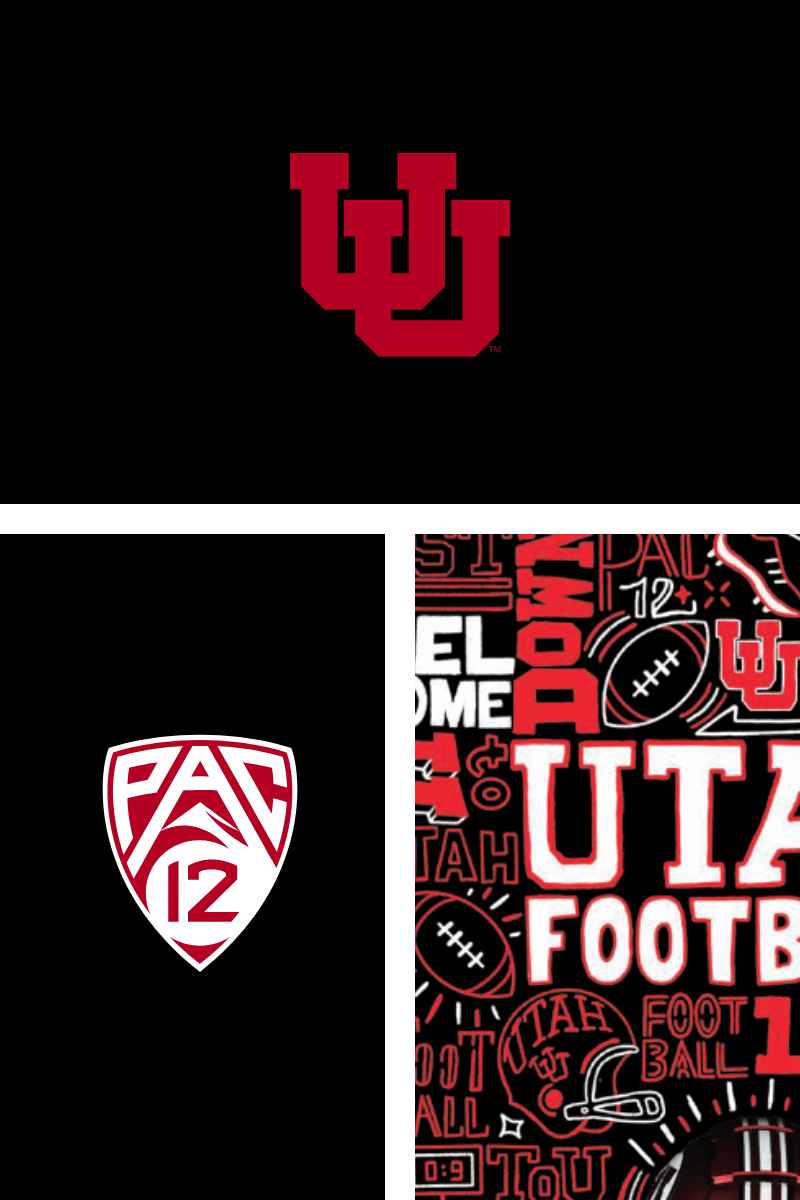 Football Ticket Sleeves
