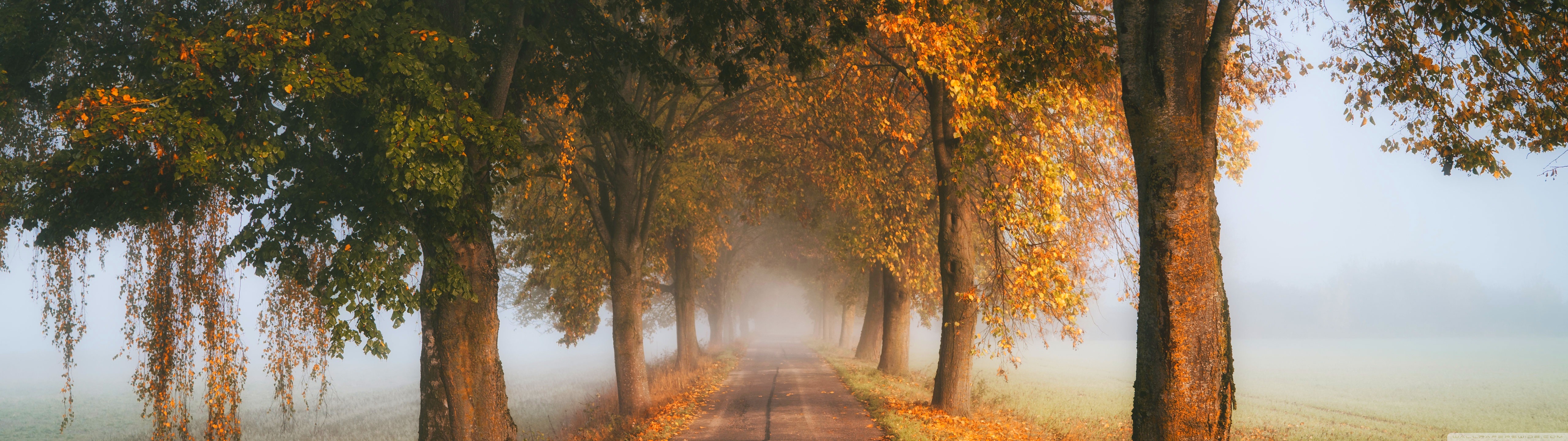 Ultra HD Desktop Background Wallpaper