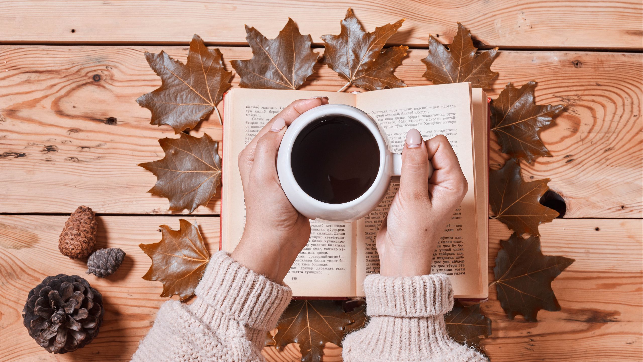 Download wallpaper 2560x1440 coffee, drink, cup, hands, book, autumn, cozy widescreen 16:9 HD background