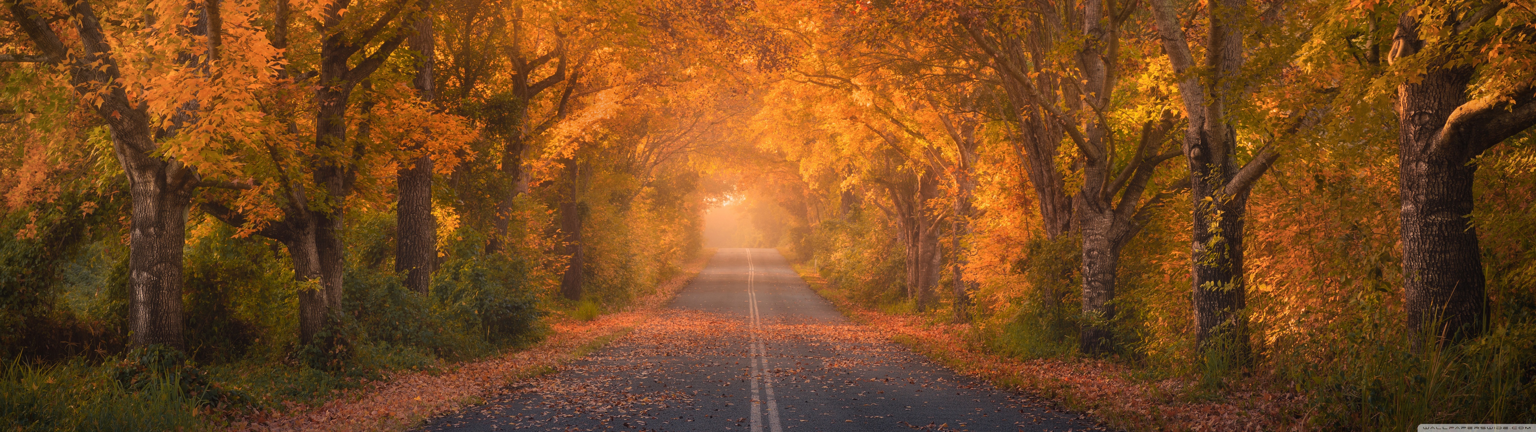 Desktop Background Wallpaper