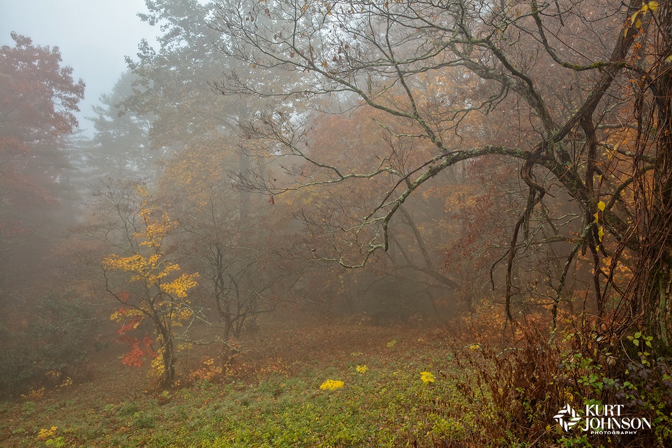 Georgia Nature Photography: Stills