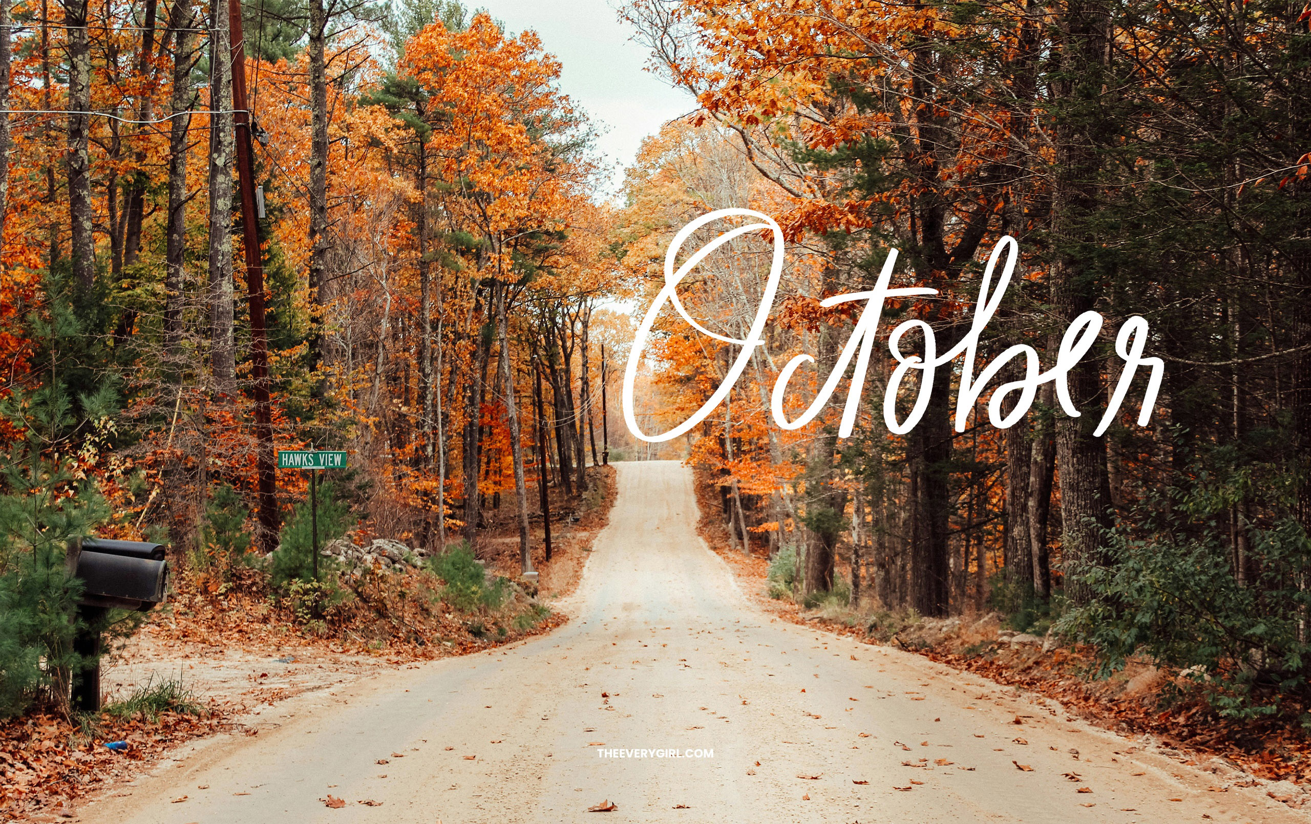 October 2024 Tech Background: Free, Downloadable Fall Wallpaper!