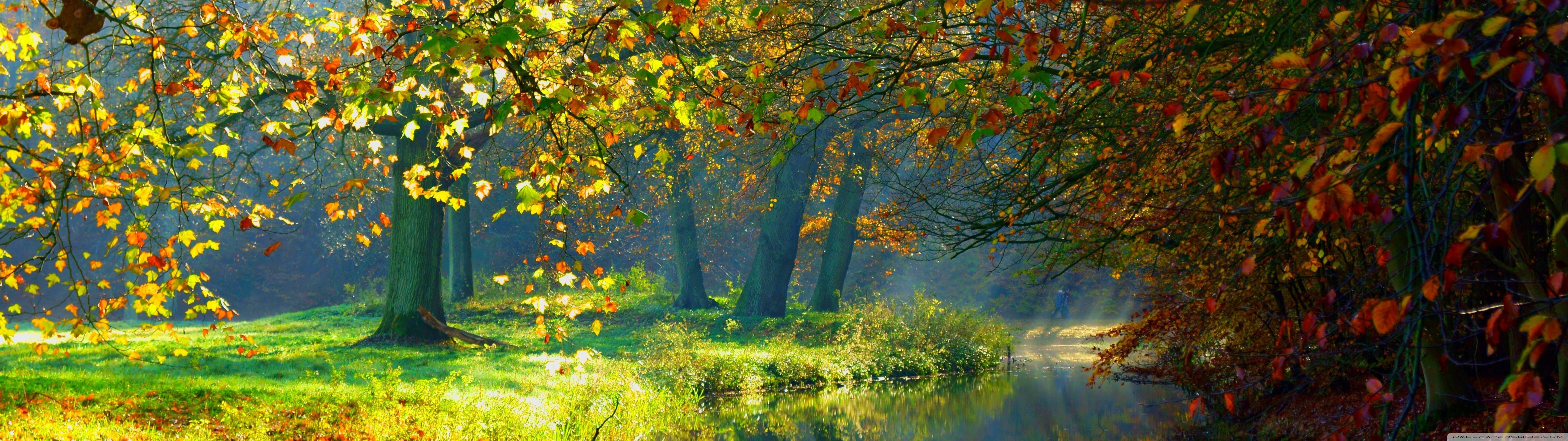 Desktop Background Wallpaper