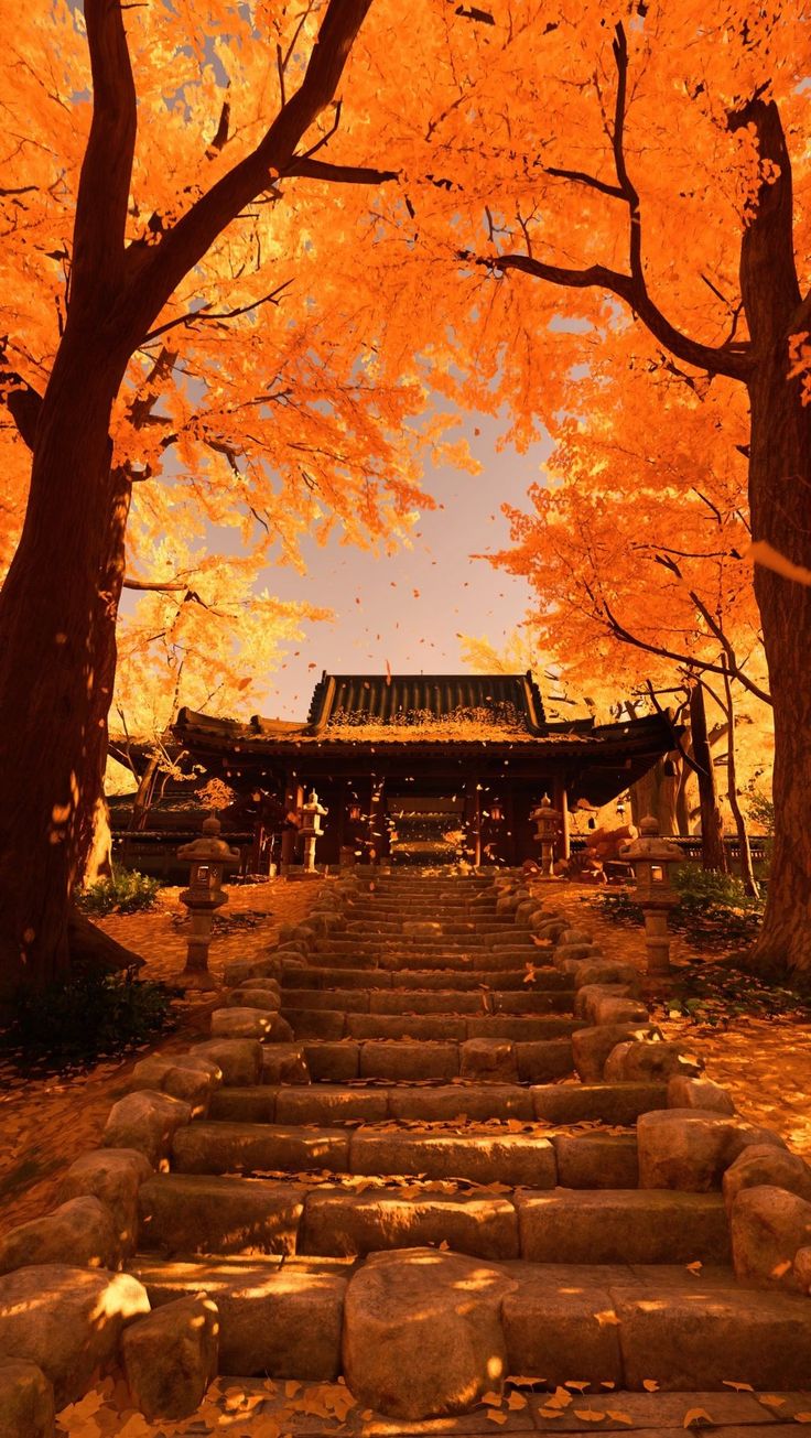 Ghost of Tsushima Photomode