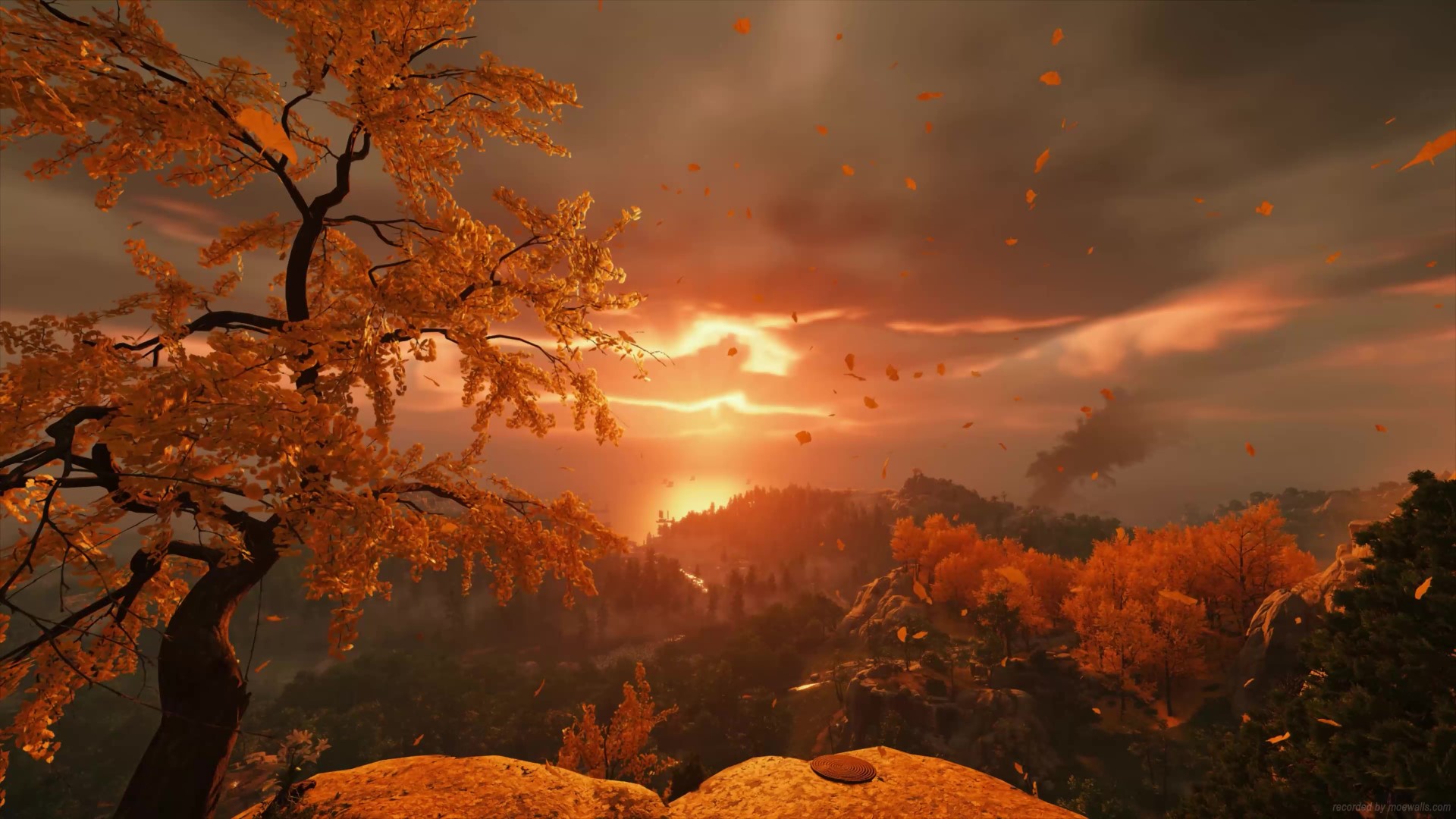 Autumn Tree Sunset Ghost Of Tsushima