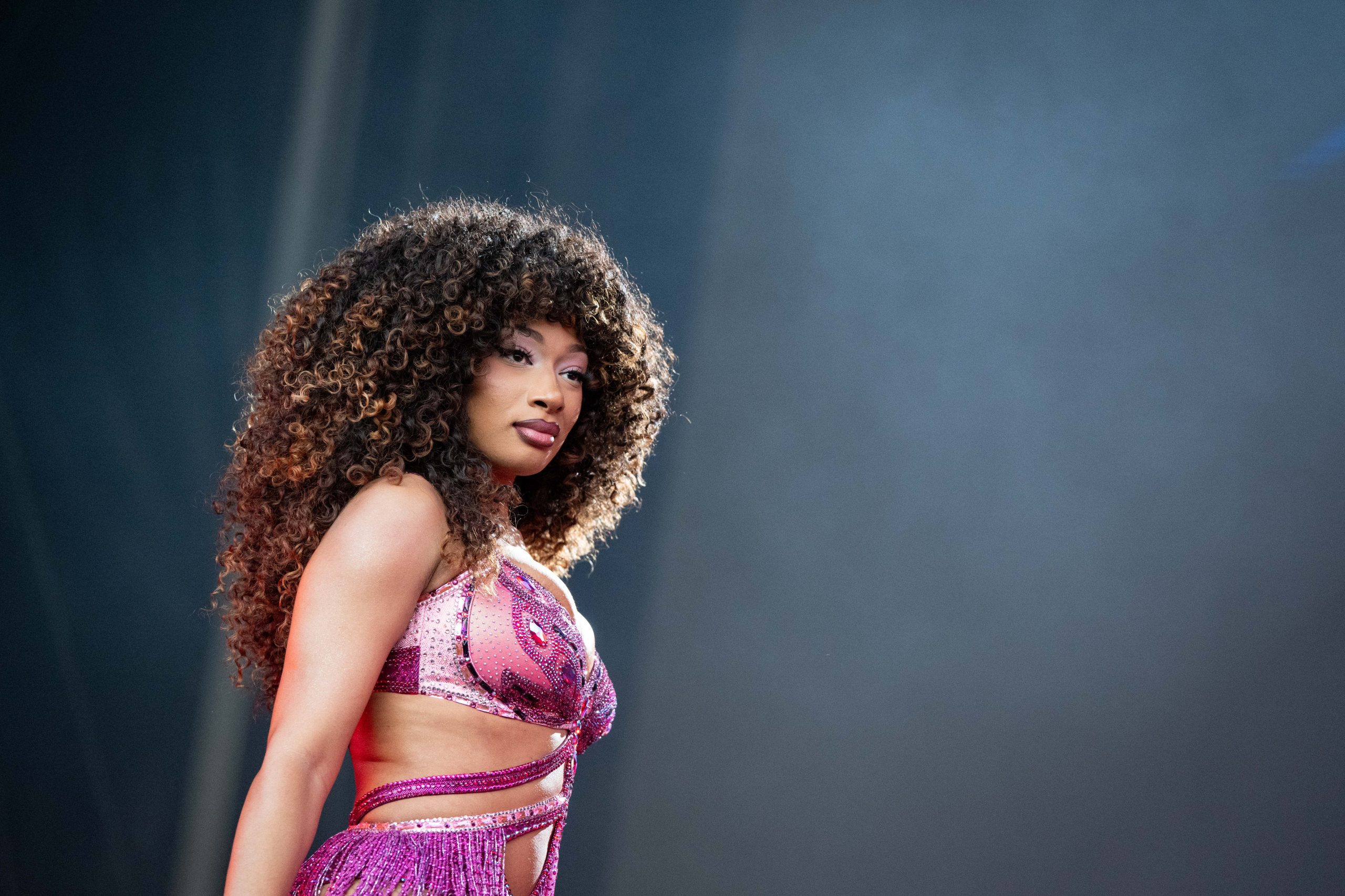 Megan Thee Stallion Faces Abrupt