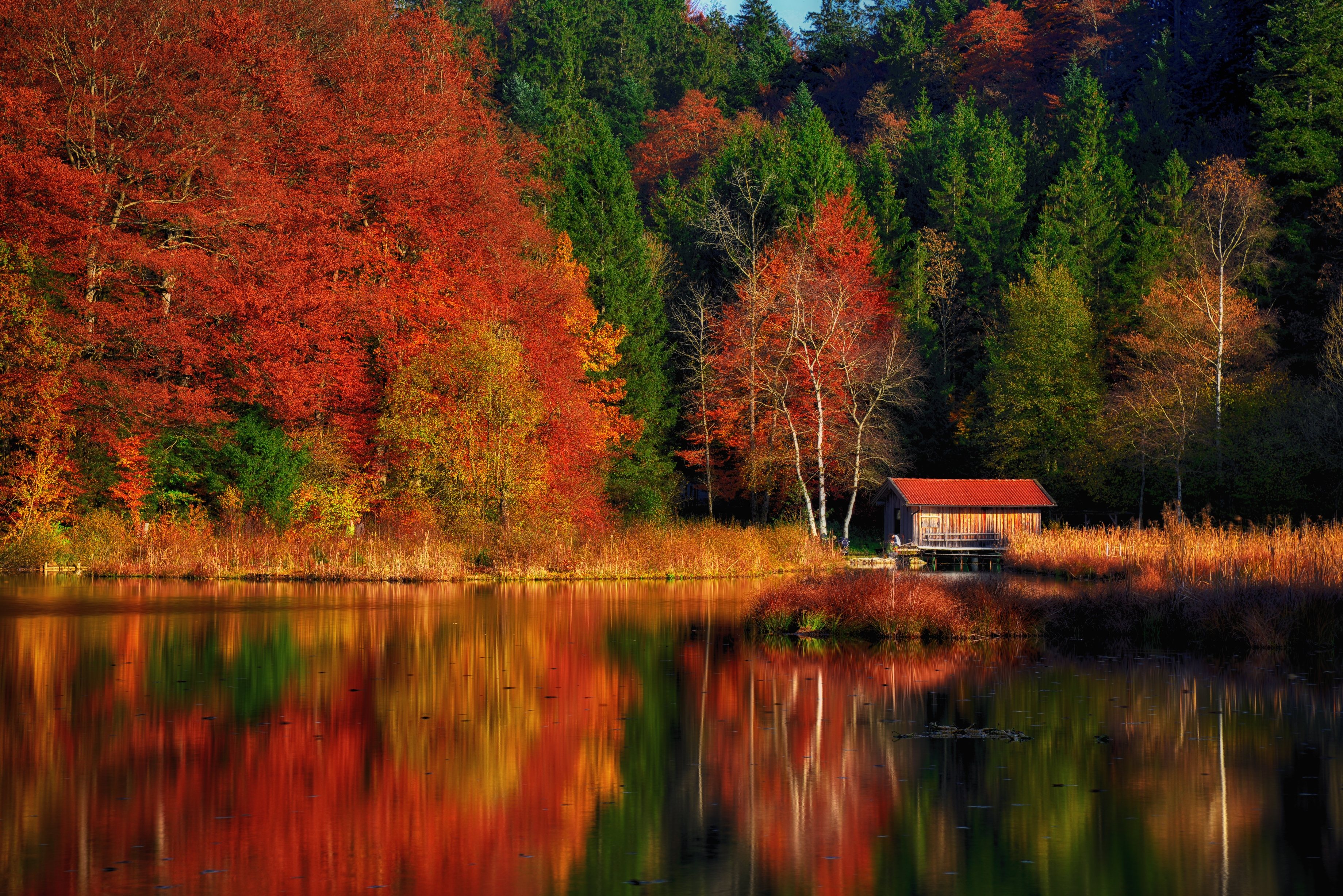 Autumn Scenery Wallpaper 4K, Lakeside