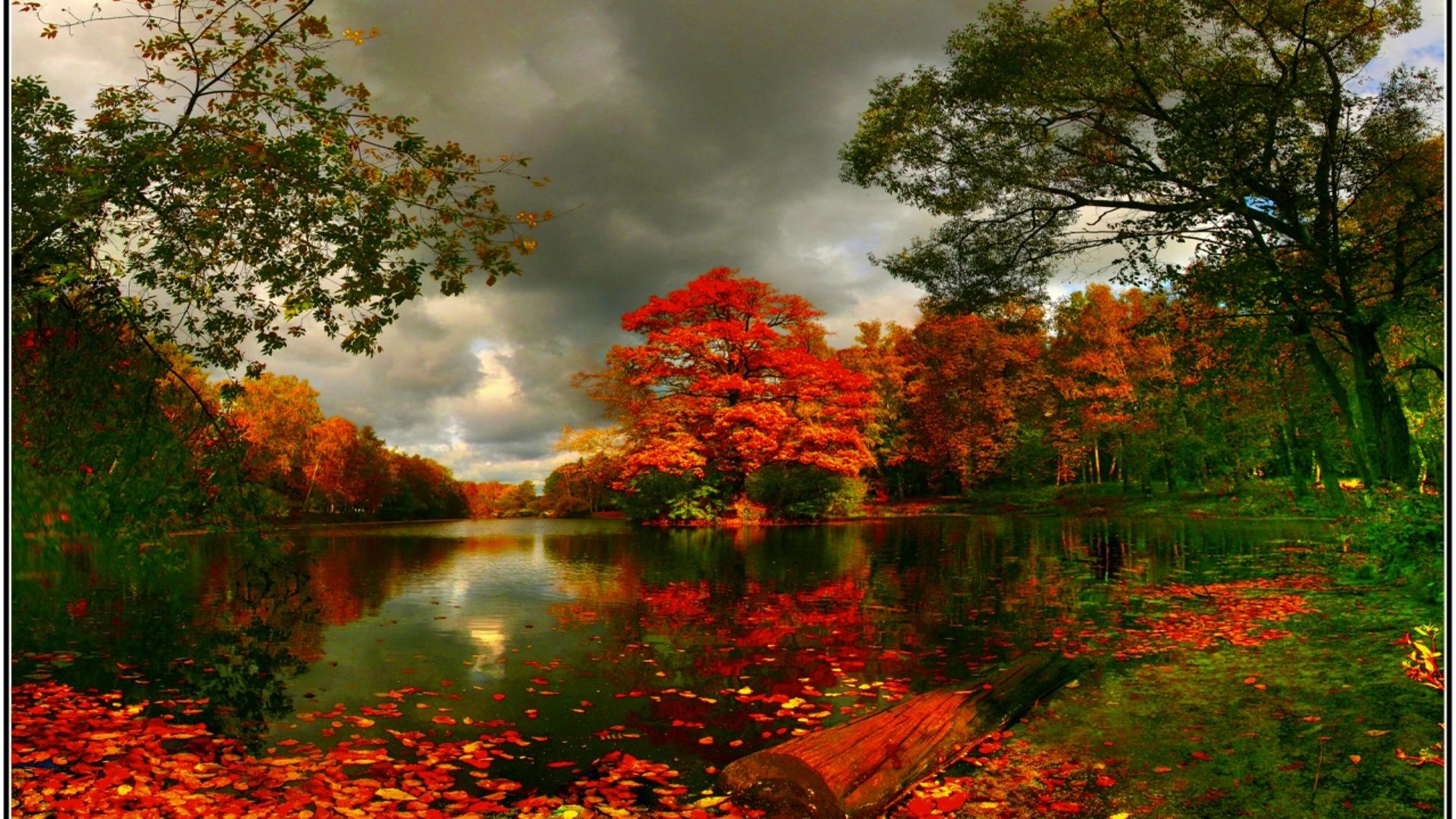 Autumn Serenity: HD Nature Wallpaper