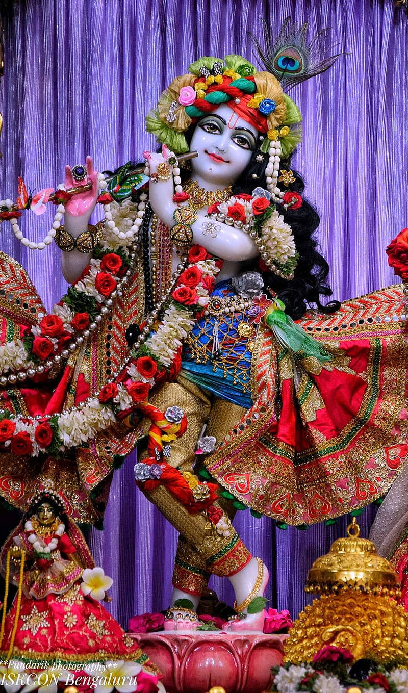Krishna in ISKCON Temple Wallpaper