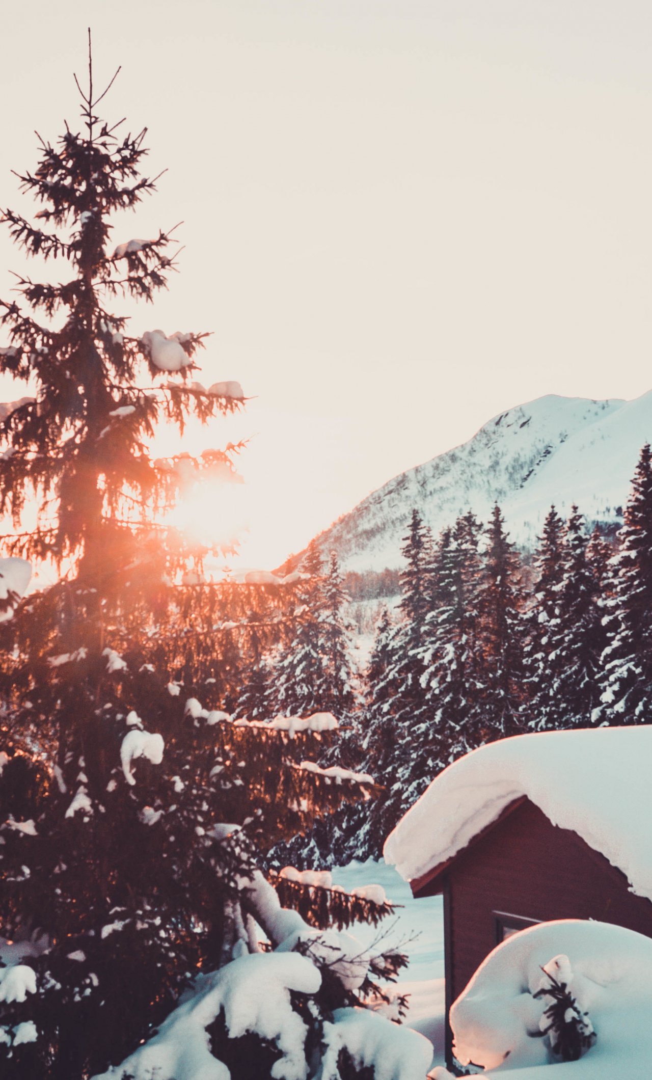 Download wallpaper 1280x2120 cabin