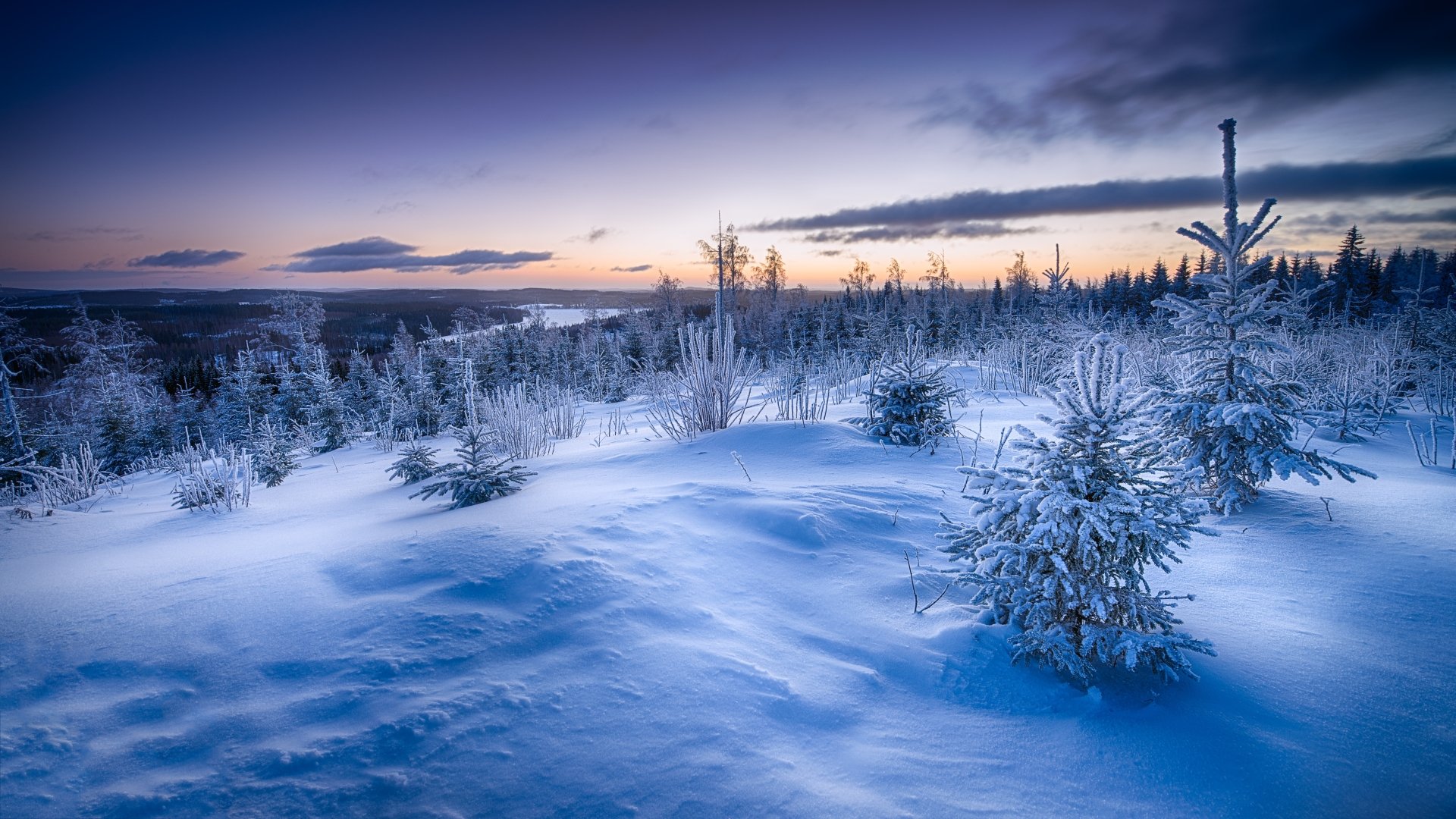 Nature Winter 4k Ultra HD Wallpaper