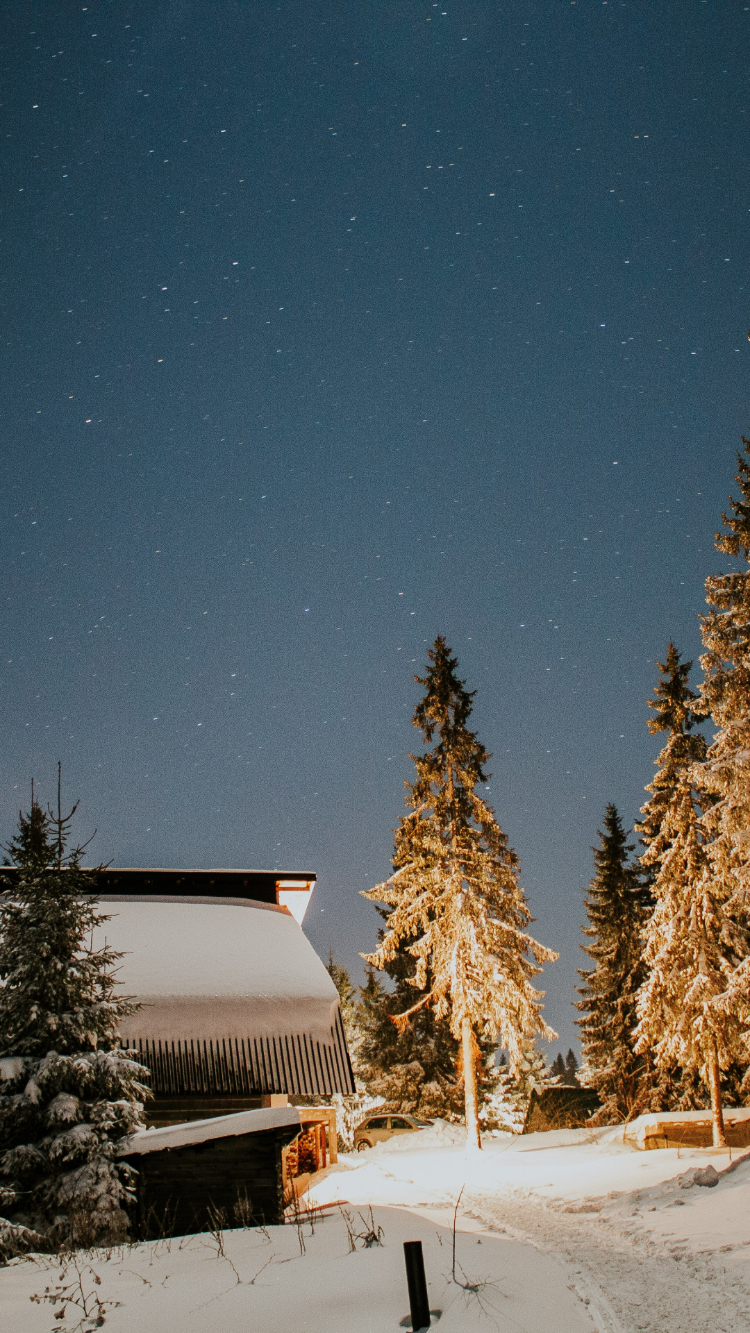 Wilderness iPhone Wallpaper