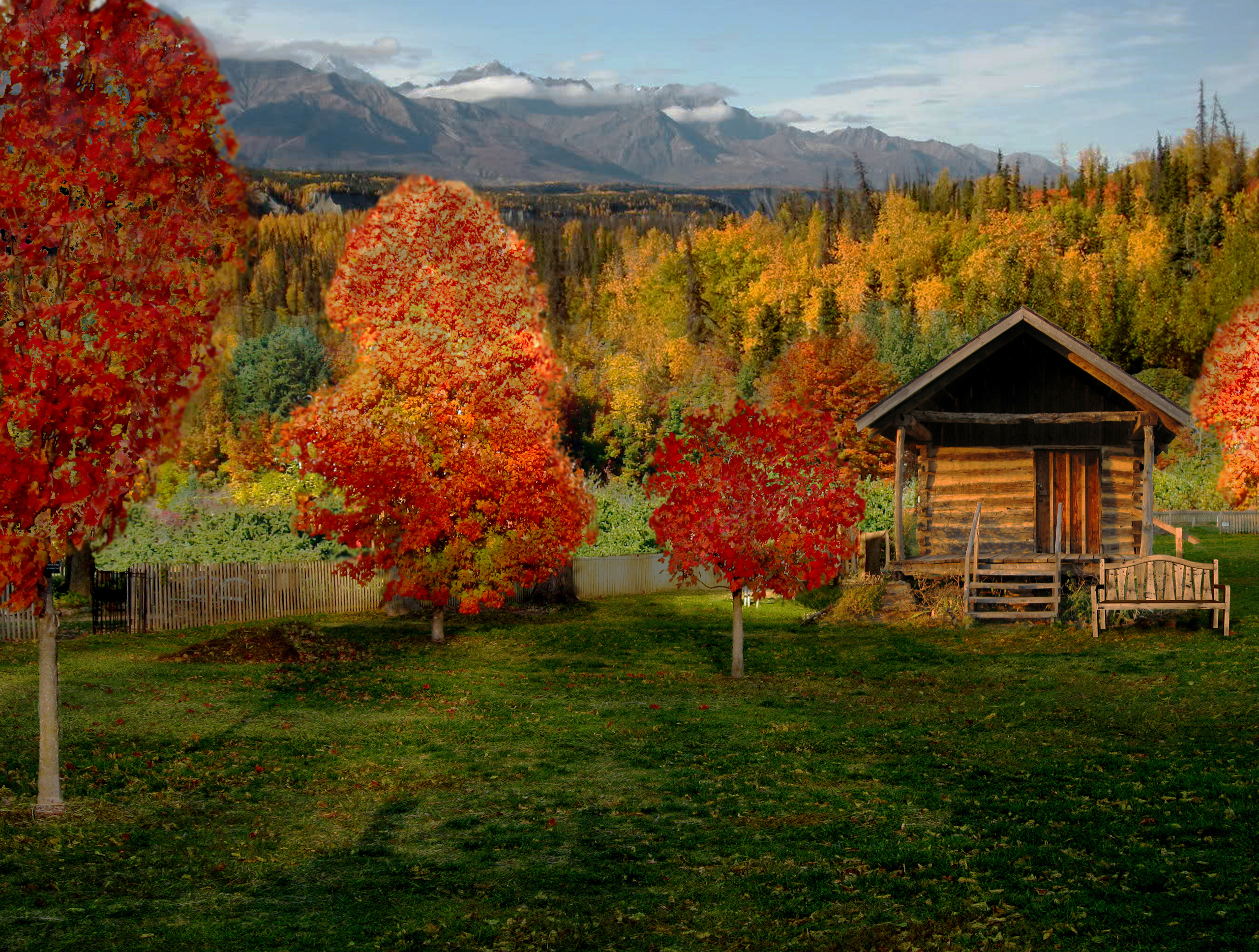 Download Man Made Cabin HD Wallpaper