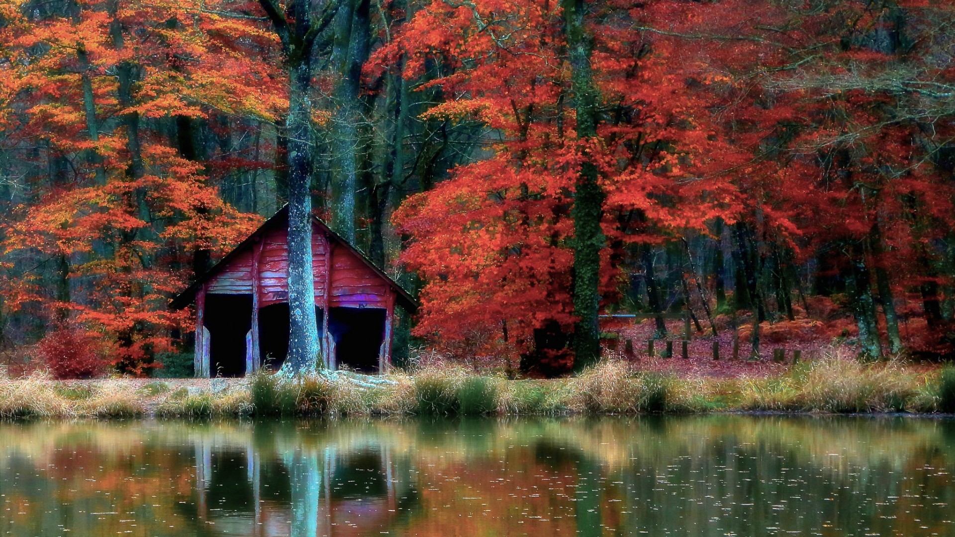 Cabin HD Wallpaper