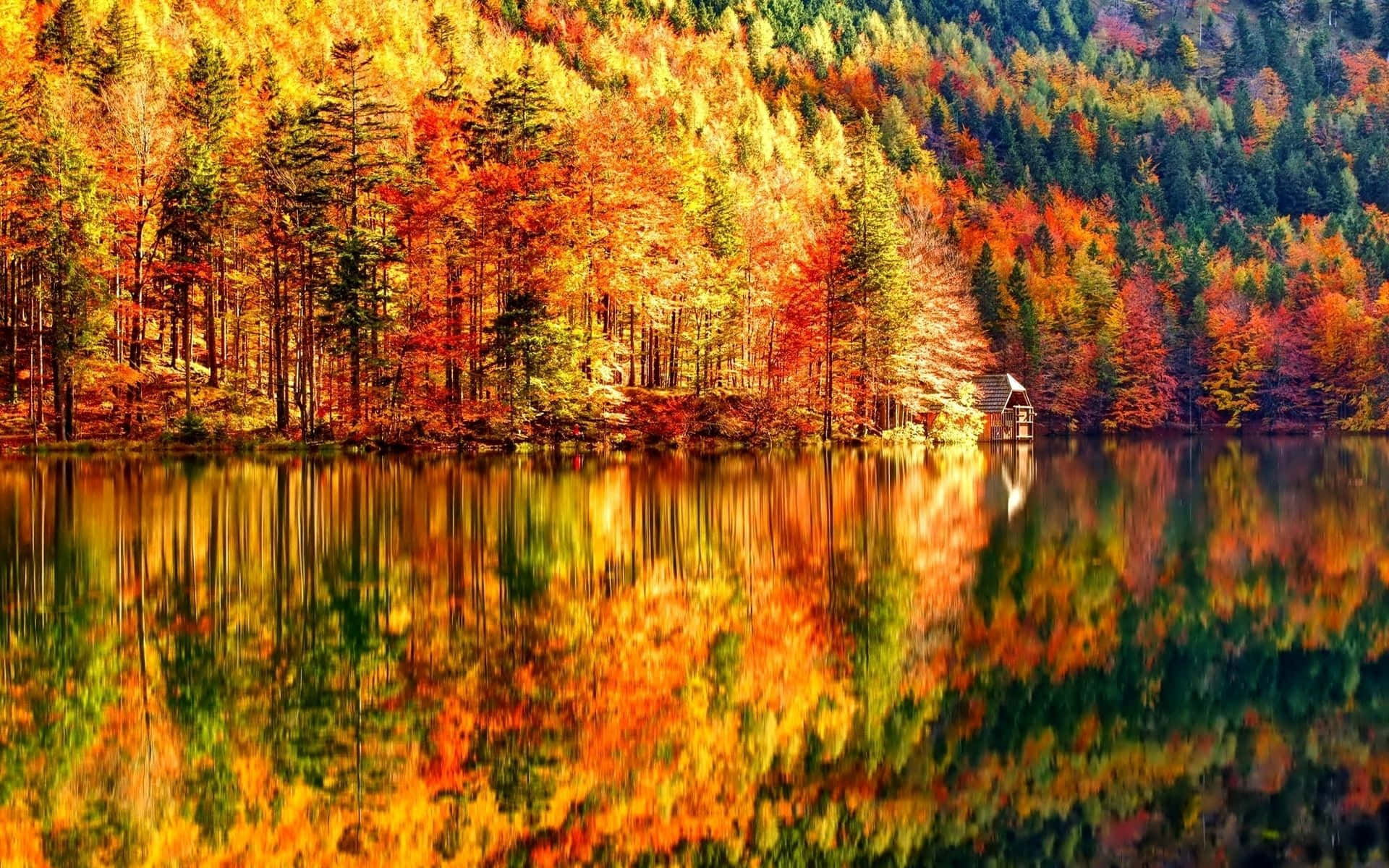 Download Vibrant Autumn Scenery Wallpaper