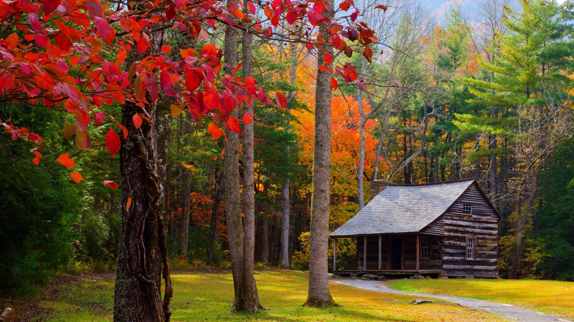 Cabin 4k Ultra HD Wallpaper
