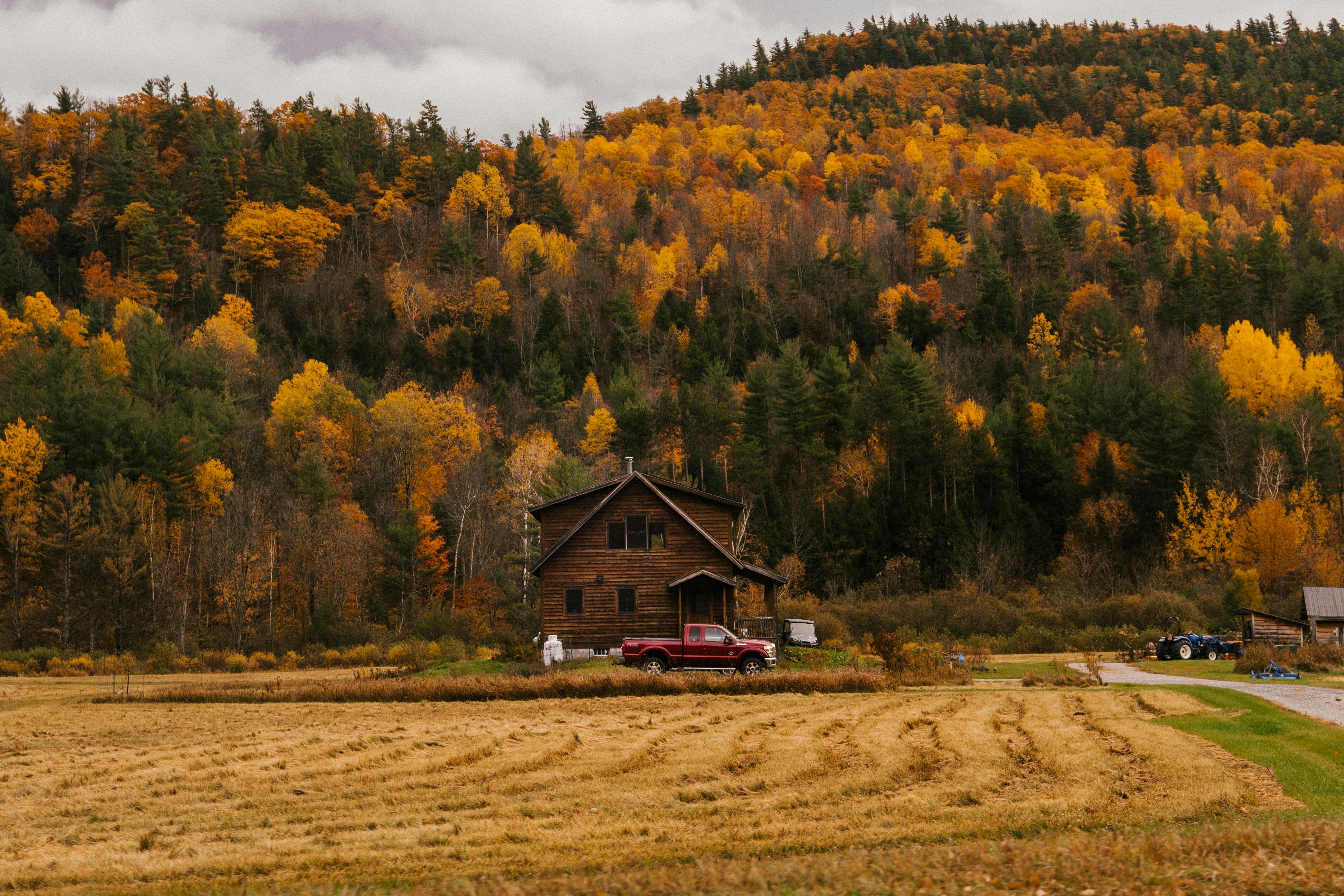 Fall Wallpaper Photo, Download