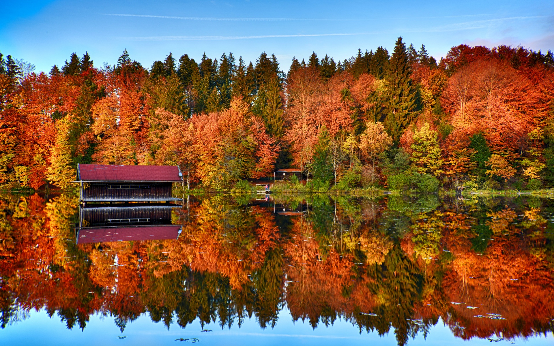 Autumn trees Wallpaper 4K, Mirror Lake