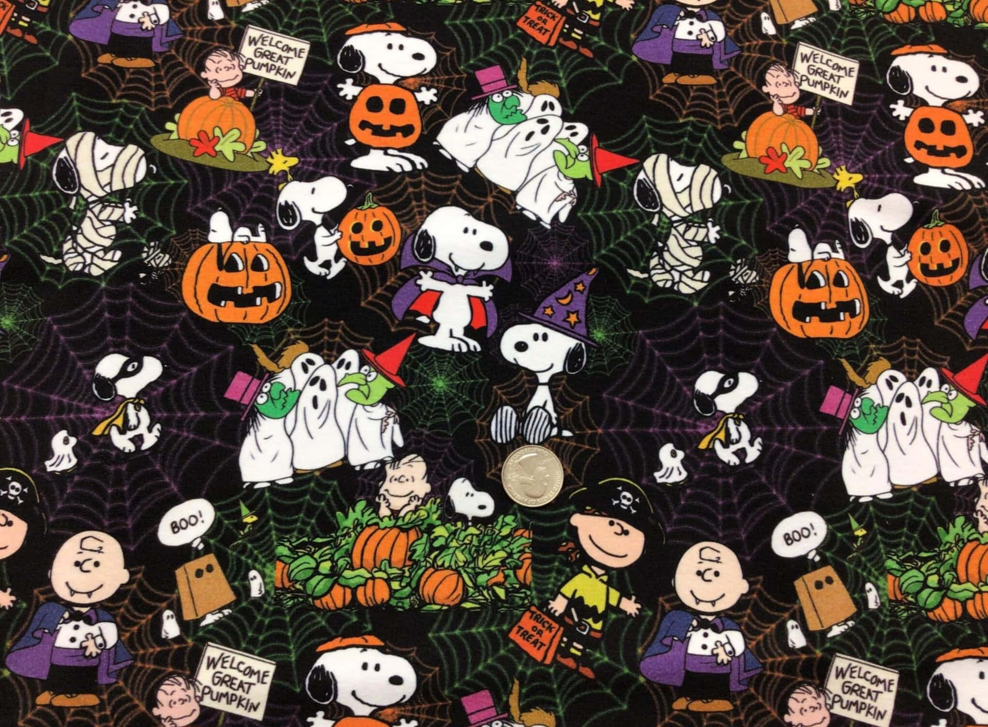 Charlie Brown Halloween Picture