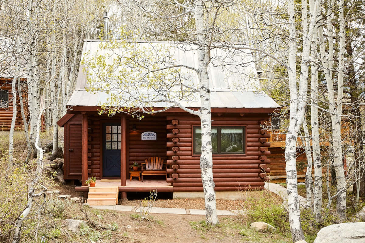 Fall Cabin Wallpaper