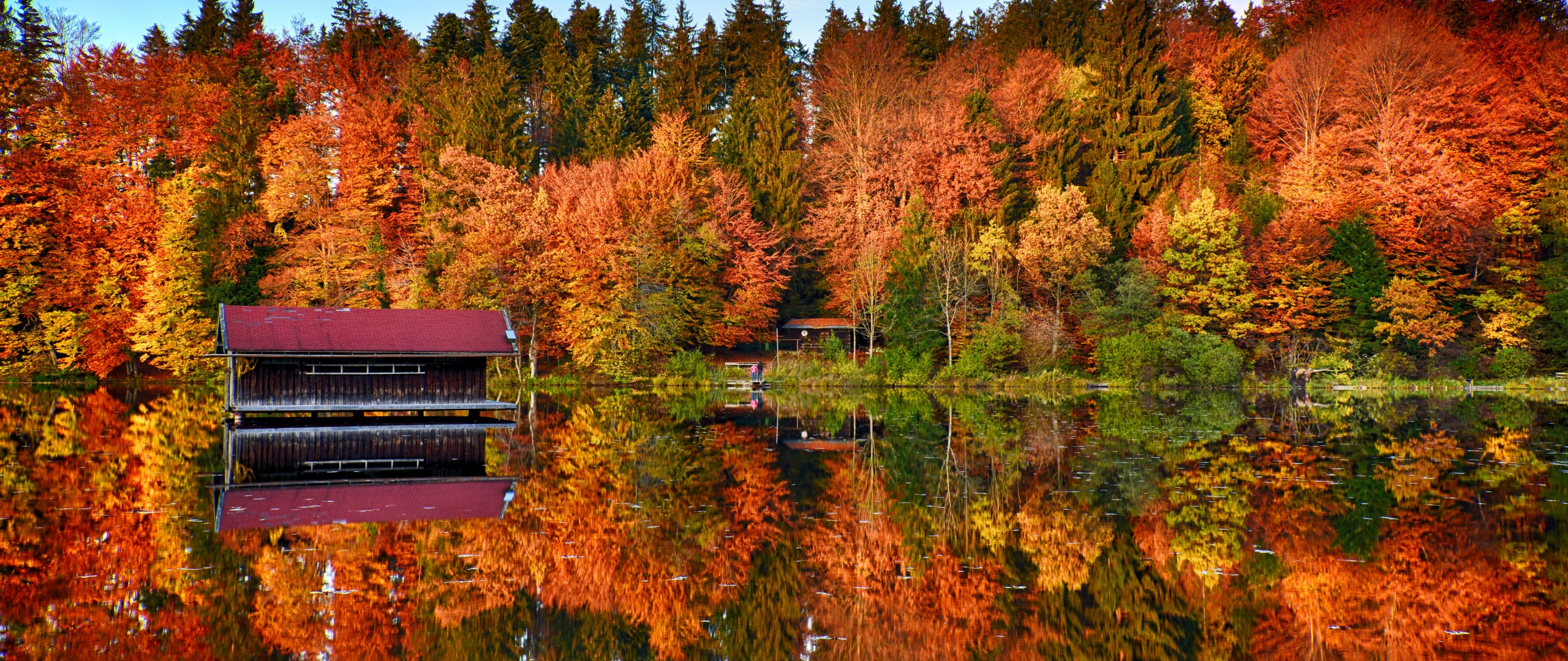 Autumn trees Wallpaper 4K, Mirror Lake