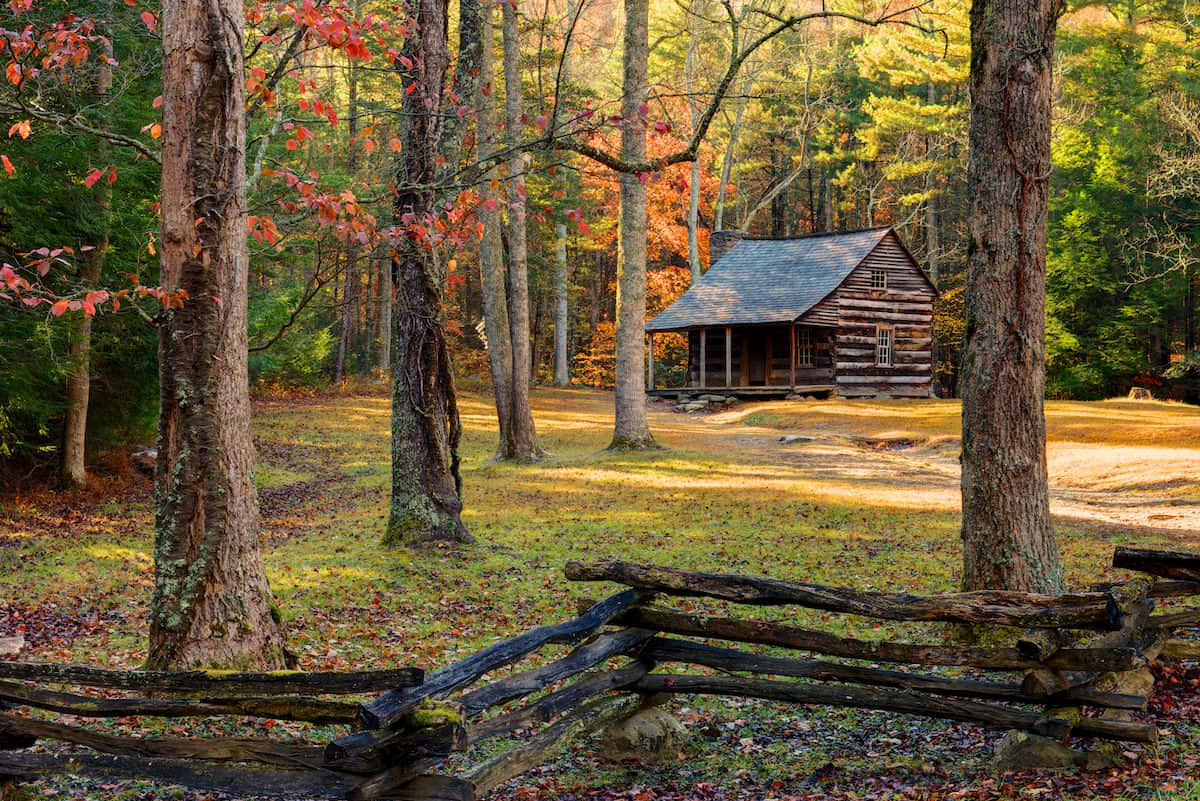 Fall Cabin Wallpaper