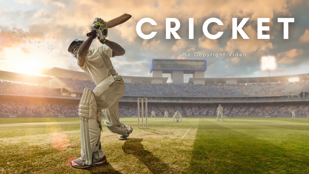Cricket. Sports. Background Video