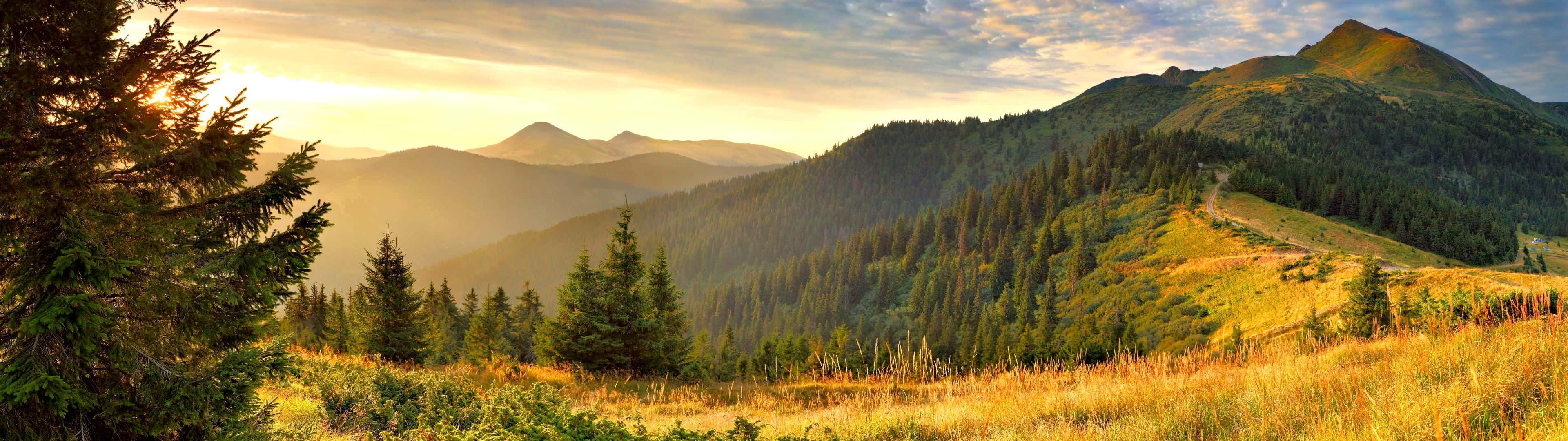 Nature Landscape Picture