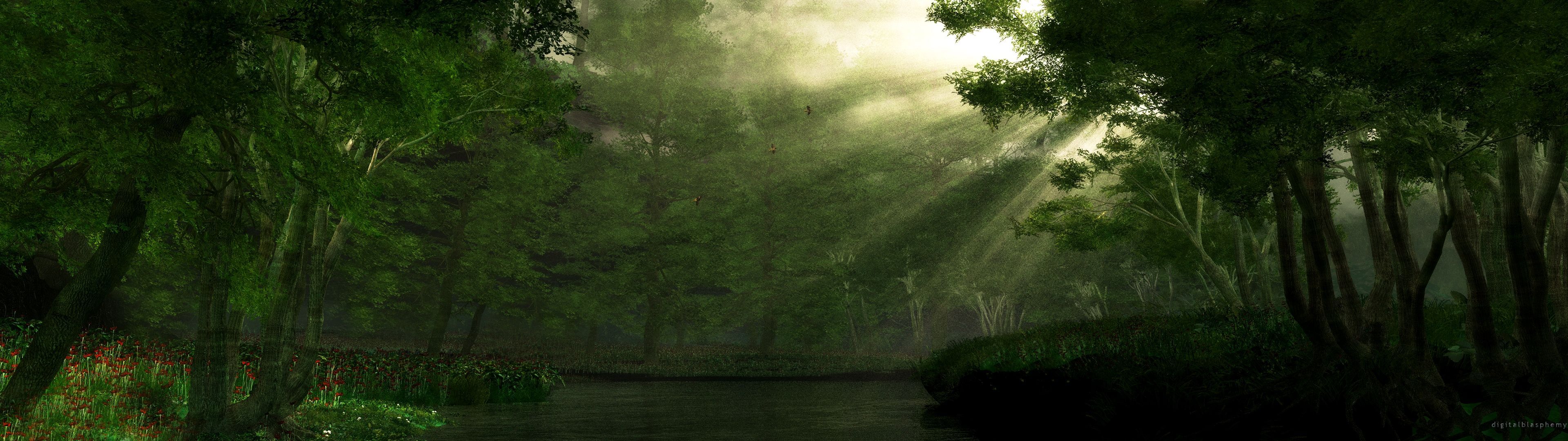 Nature Computer Wallpaper, Desktop