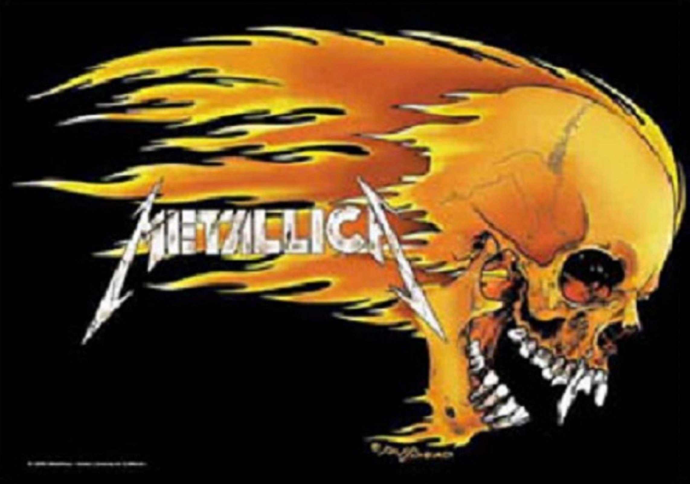Metallica Skull & Flames Flag