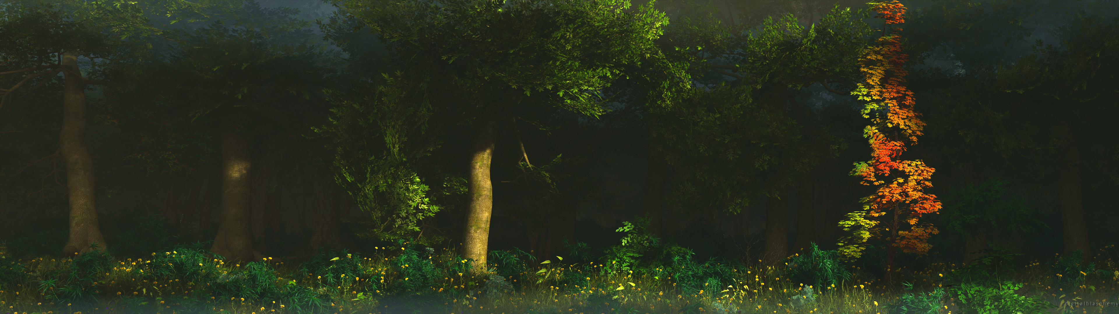 Download Nature Forest HD Wallpaper