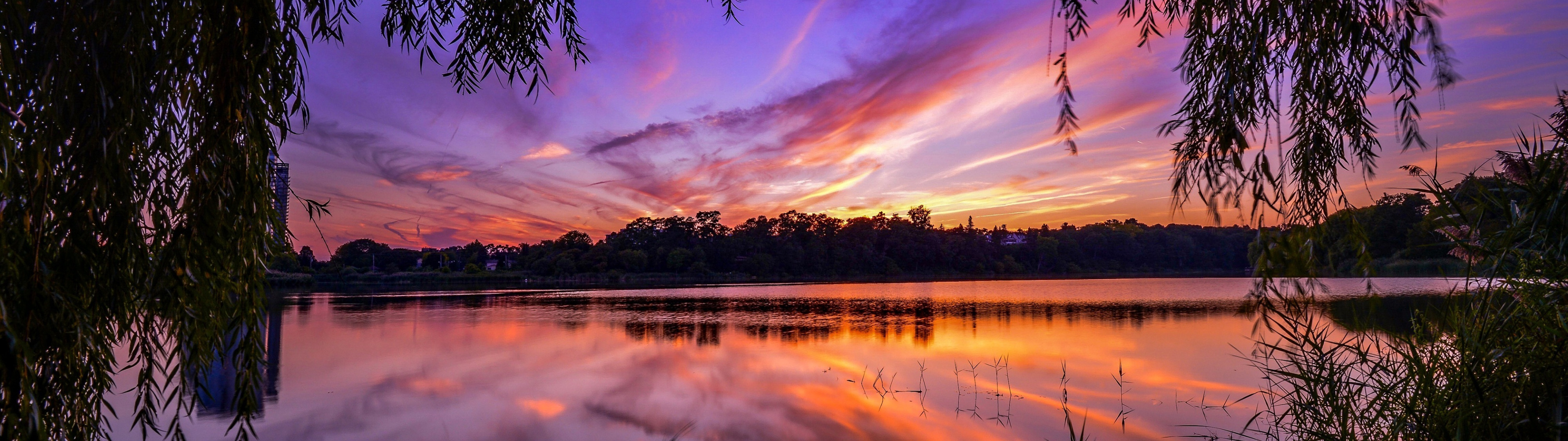 Download wallpaper grass, trees, sunset