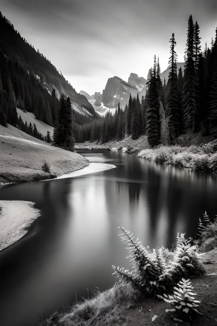 Black And White Landscape Desktop Wallpaper 44 Landscape Background