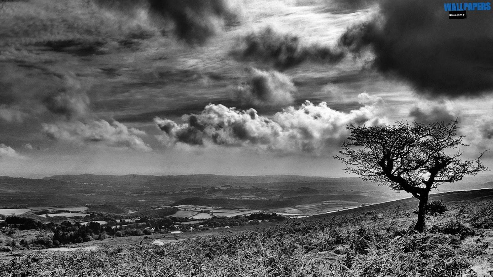 white landscape wallpaper 1600