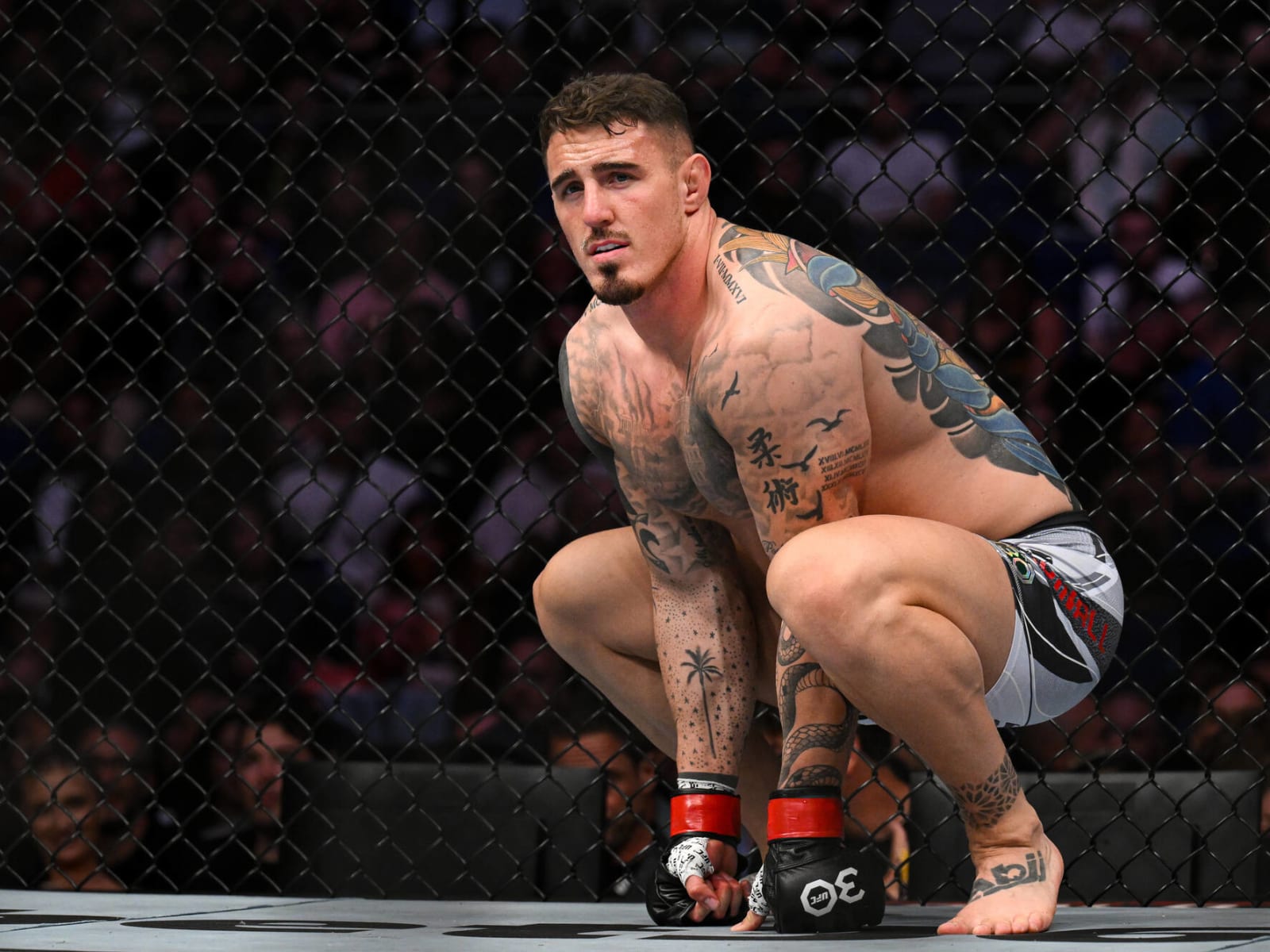 Jon Jones Or Stipe Miocic Fight