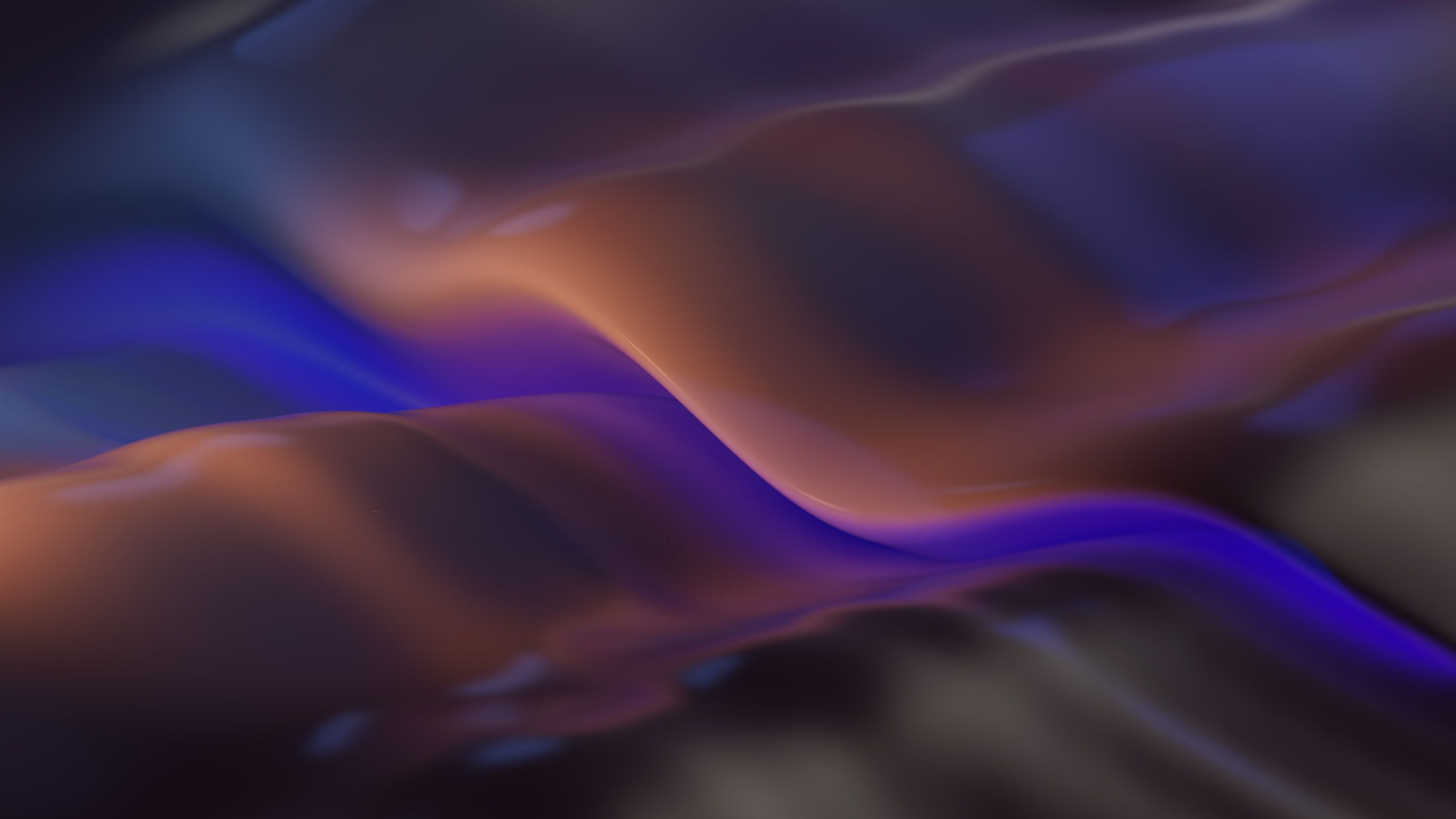 Download the Windows 11 wallpaper