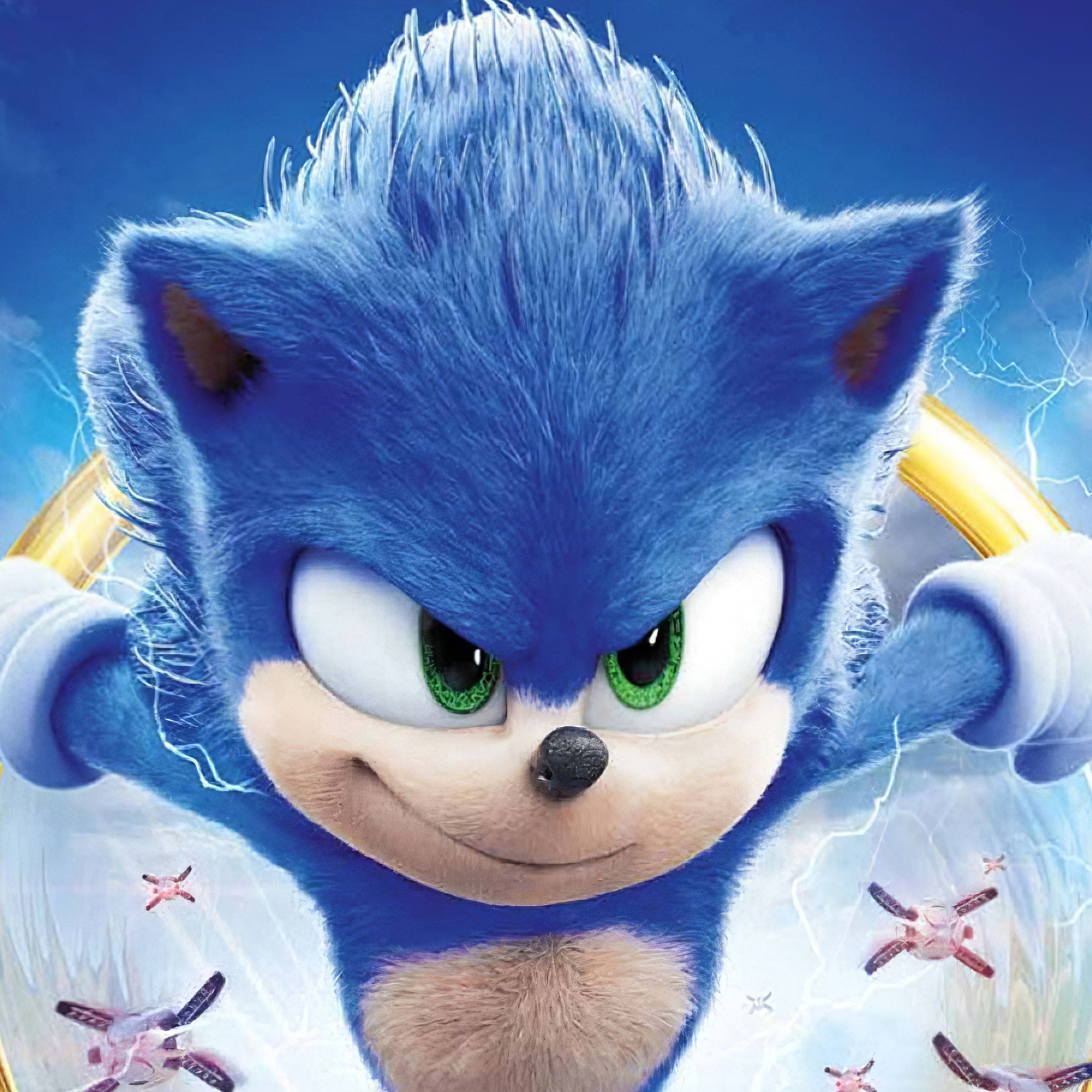 Sonic The Hedgehog Movie New