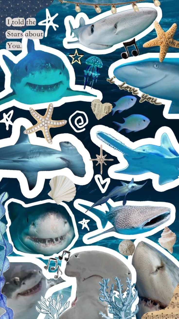 Salvamentos rápidos. Shark background, Shark picture, Cute shark