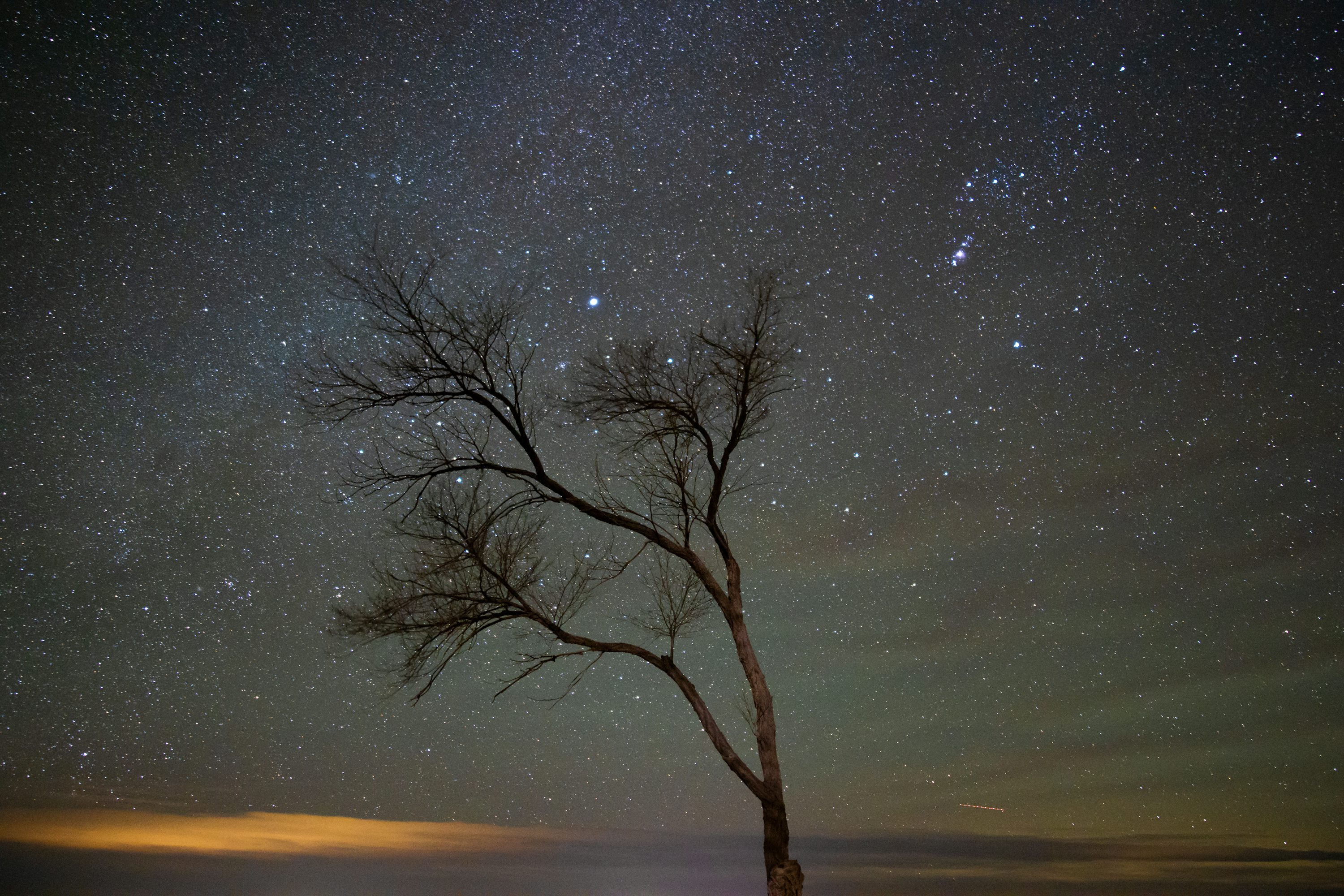 Desert Night Sky Picture
