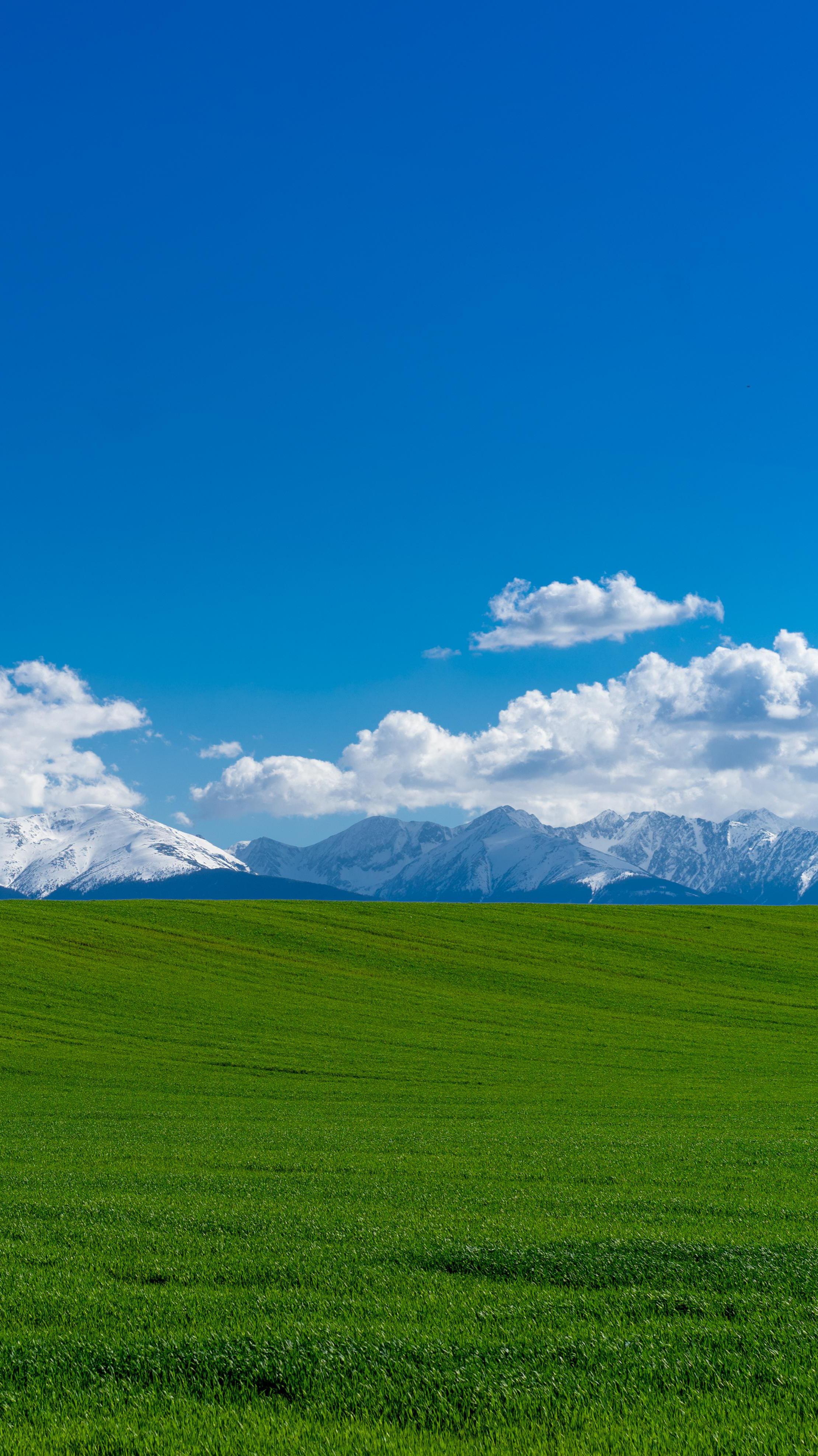 Windows XP Vibes