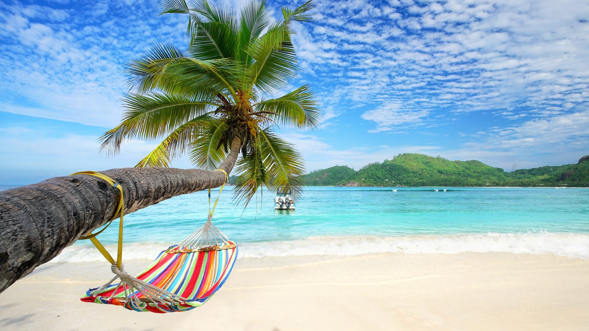 Beach Windows 11 Theme