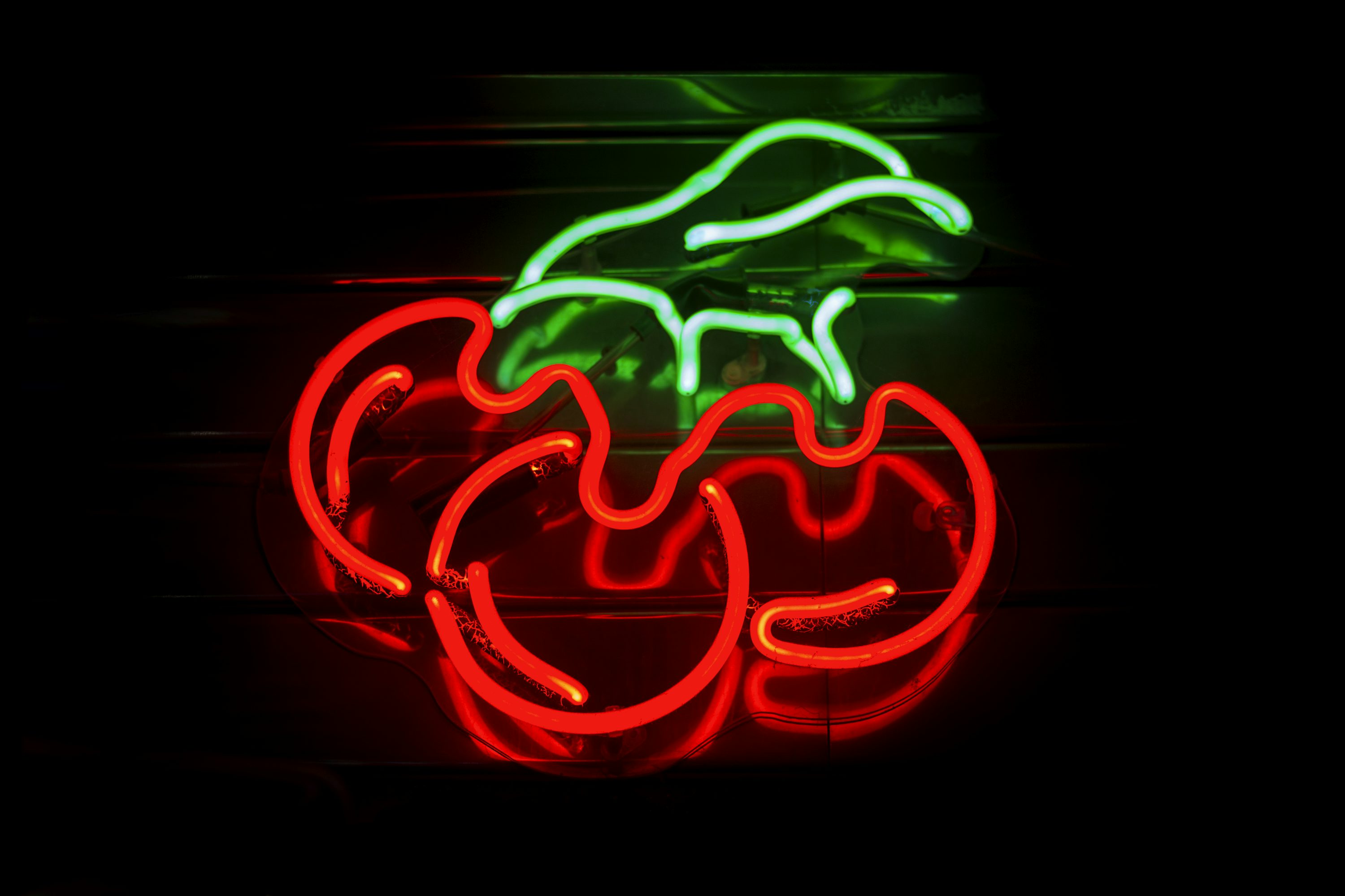 Red and green LED string photo