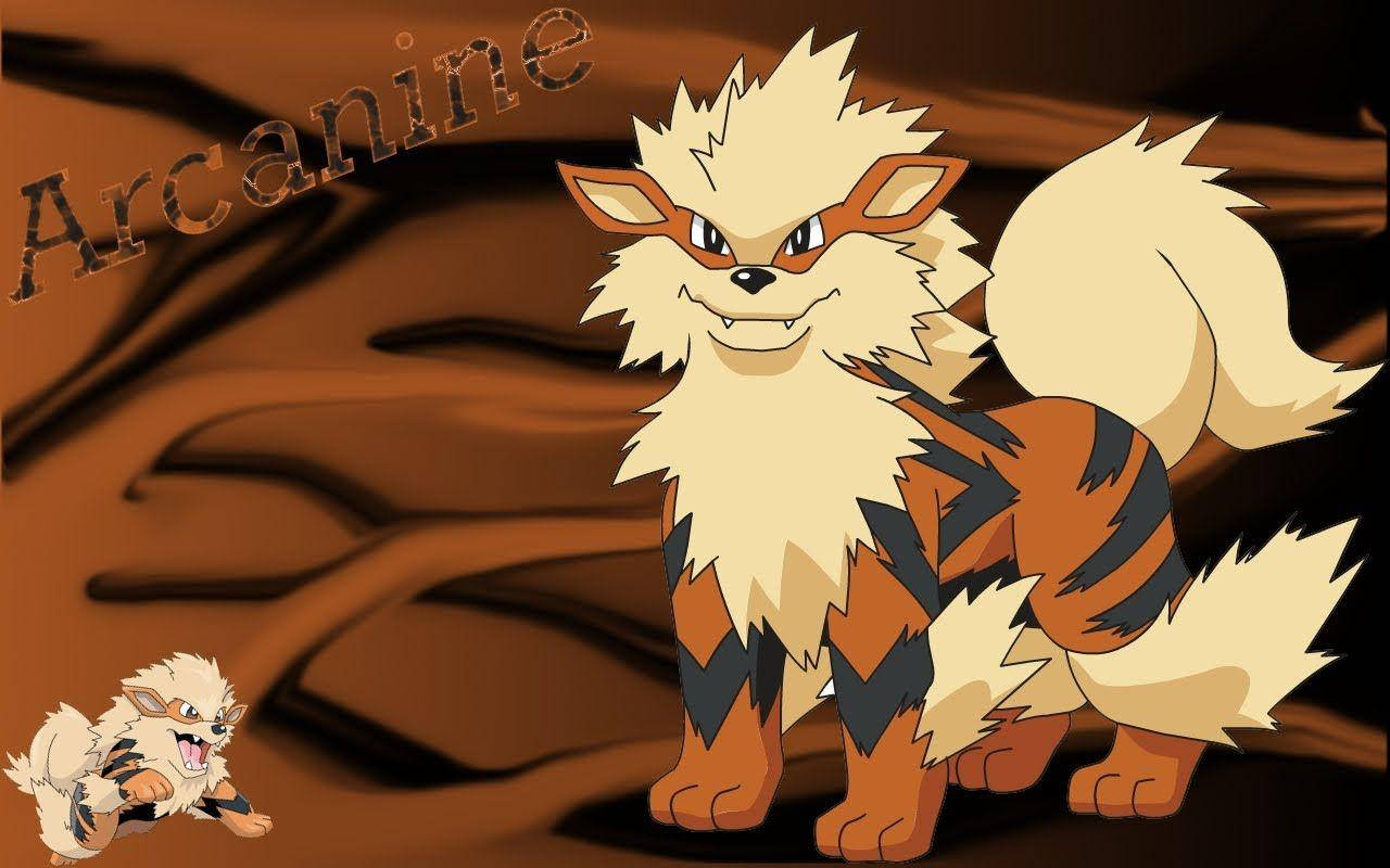 Download Two Arcanine Abstract Brown Background Wallpaper