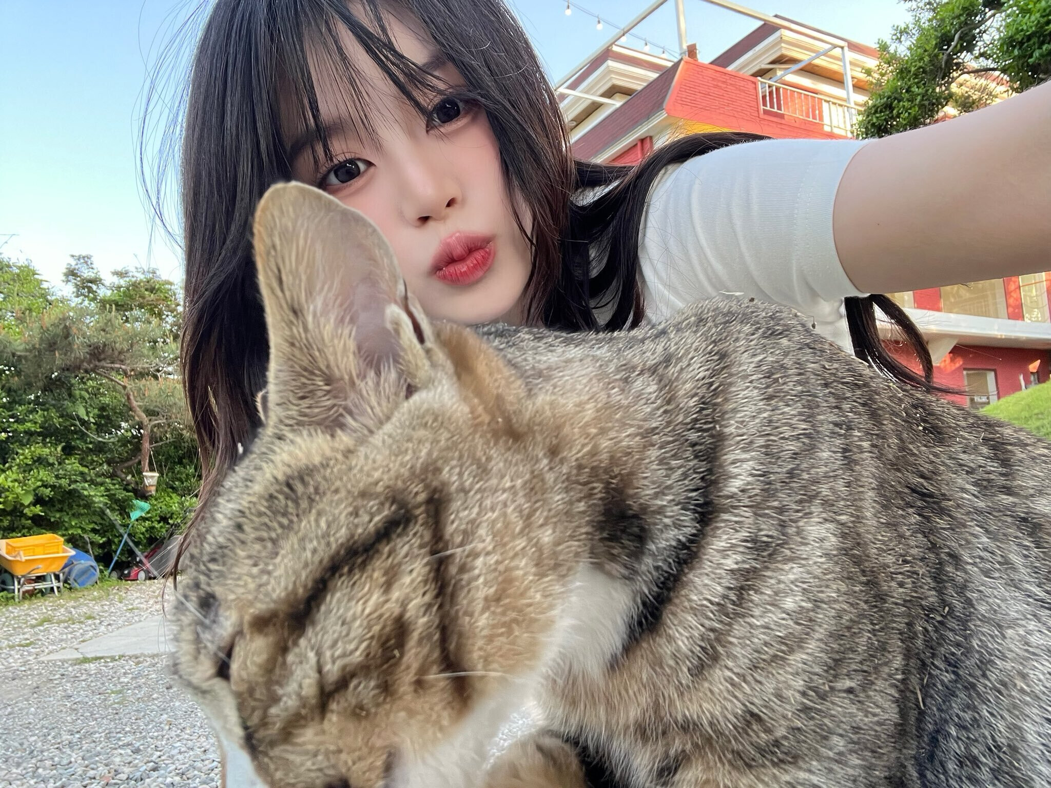 ADYA Twitter Update with SENA