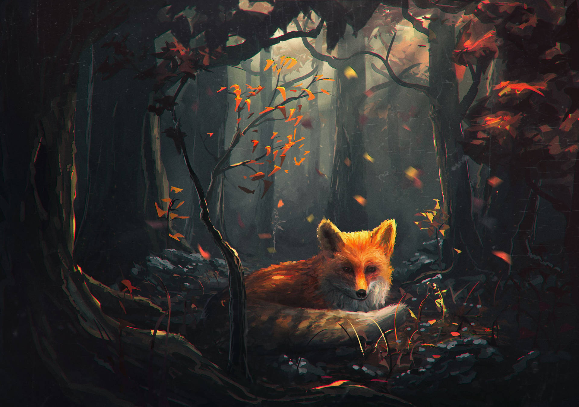 Fox Wallpaper