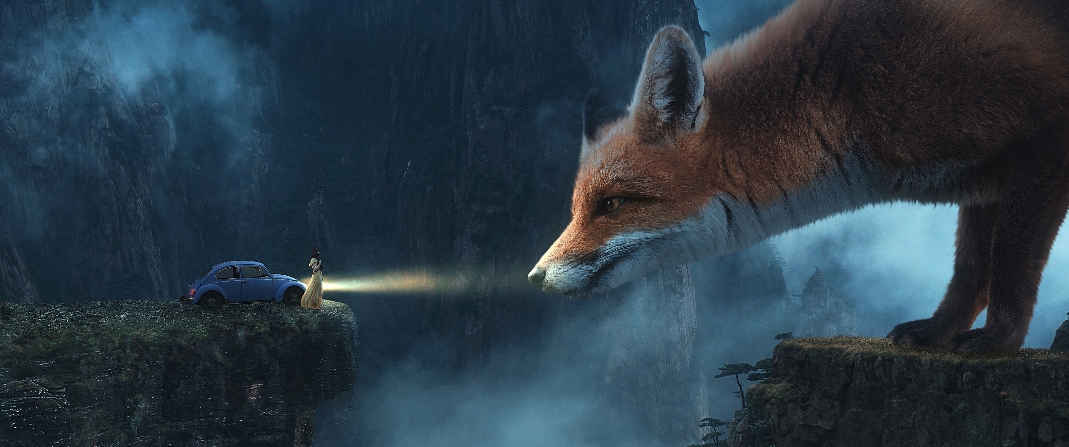 Fox Wallpaper 4K, Dream, Surreal, Foggy