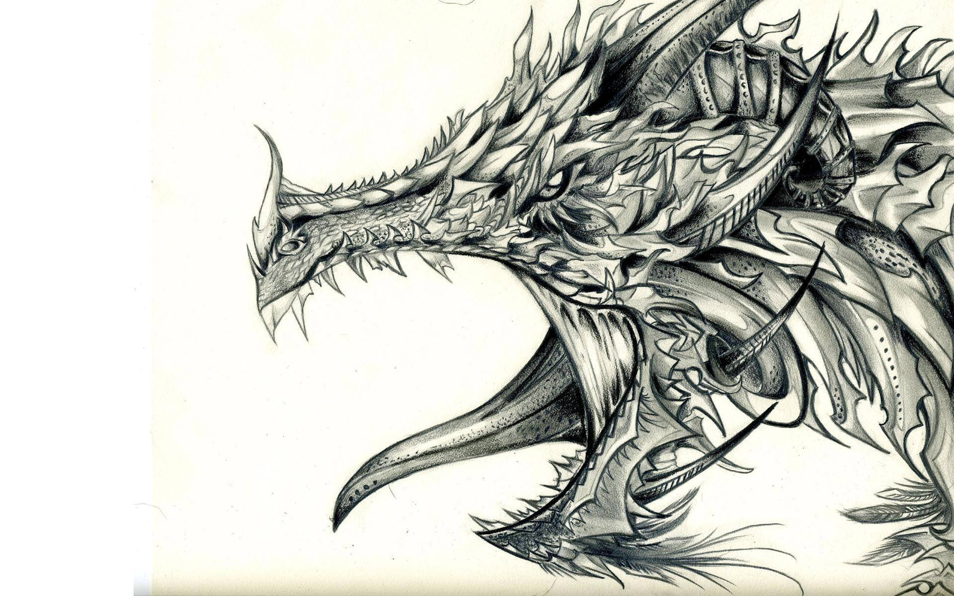 Download Cool Drawing Armored Dragon Wallpaper