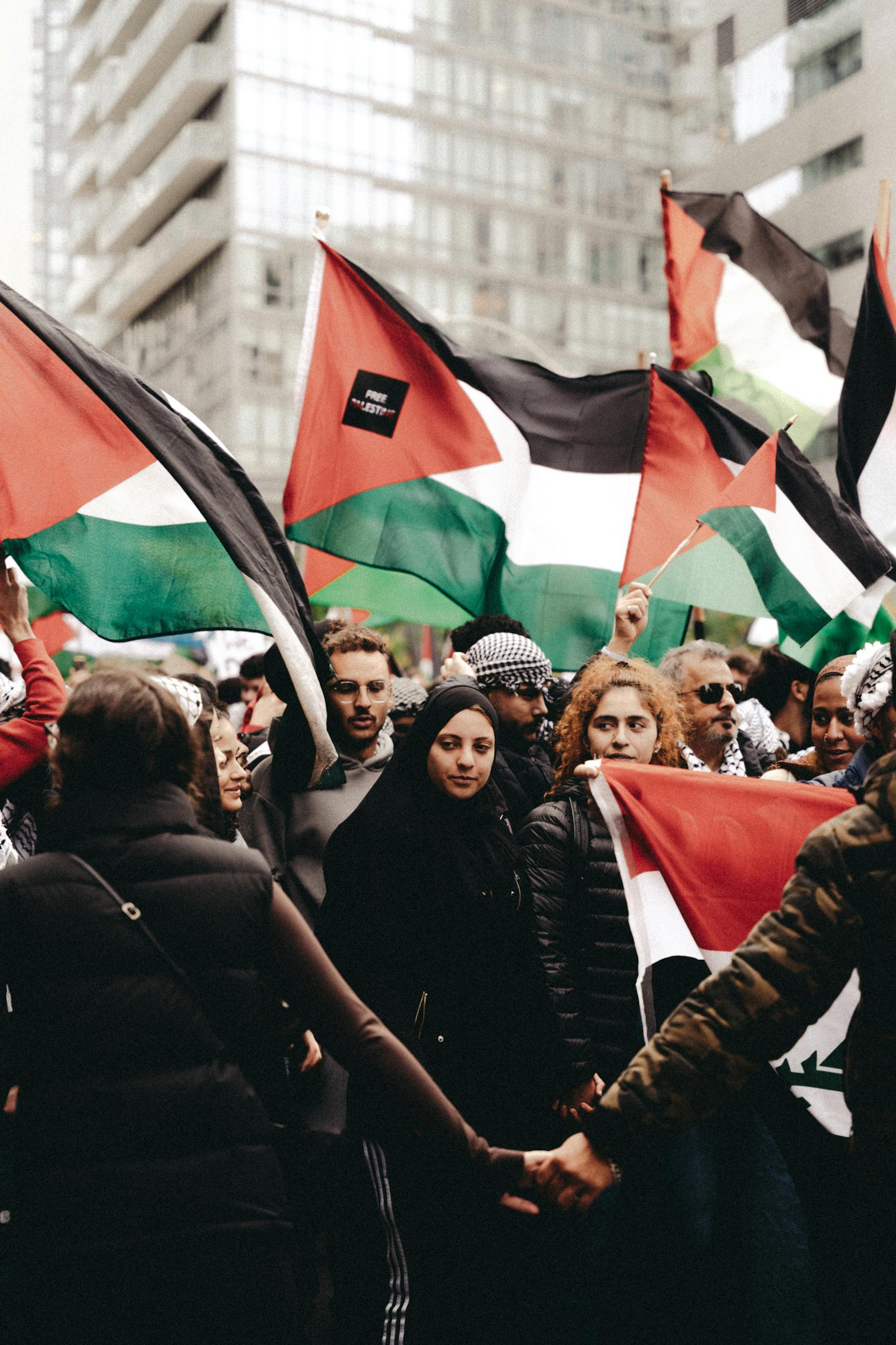Palestinian Flags Photo, Download