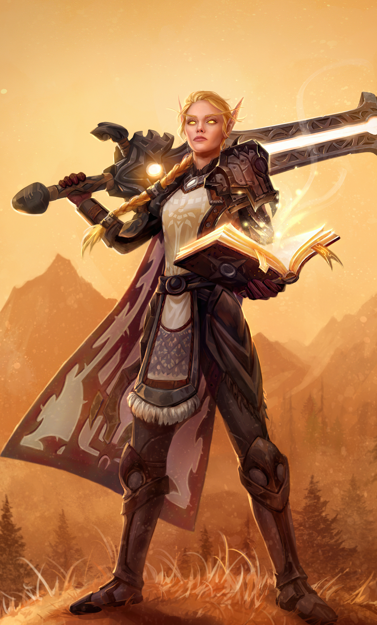 Paladin World Of Warcraft 4k